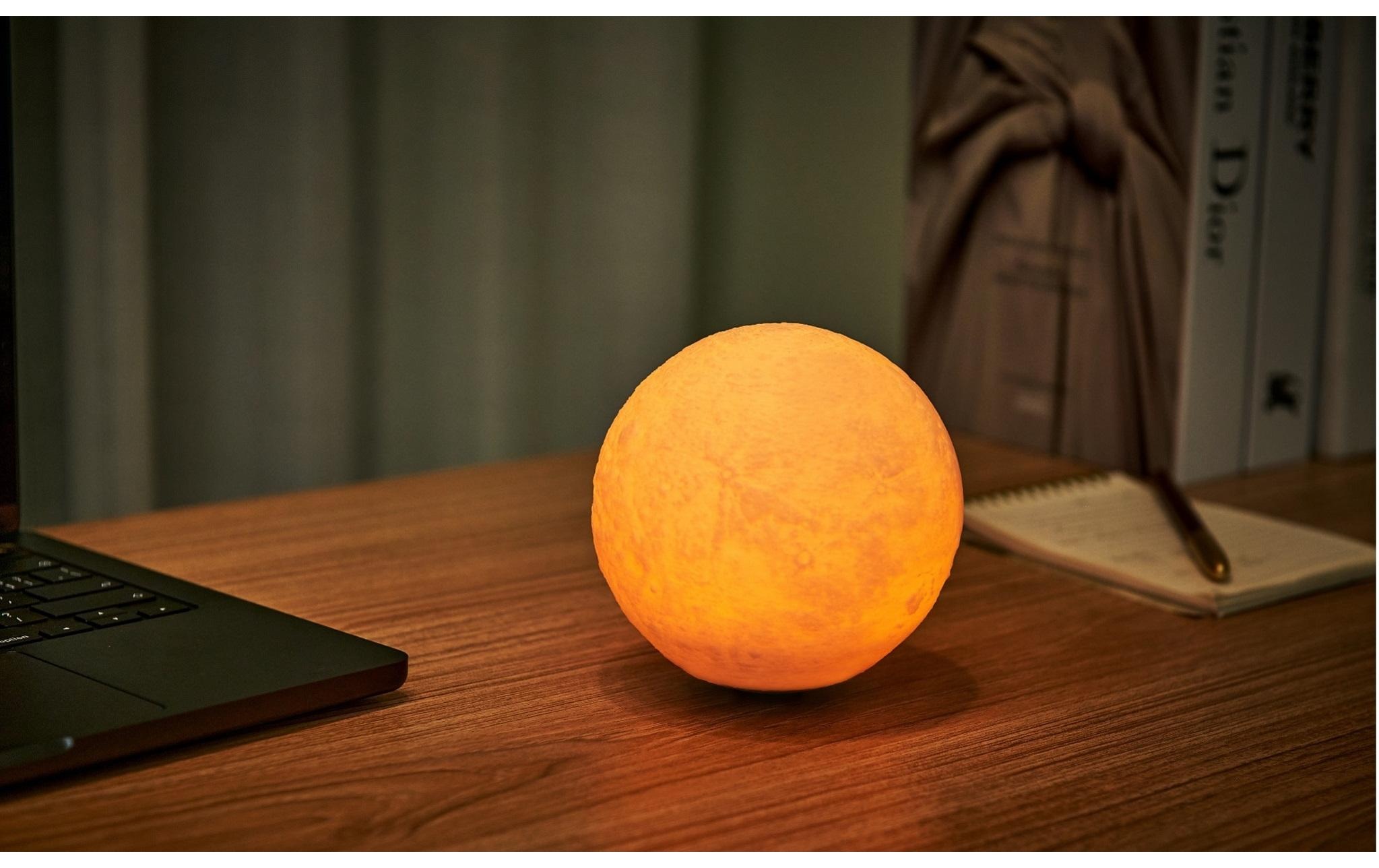 LED Dekofigur »Gingko LED LunaSpin Mini«