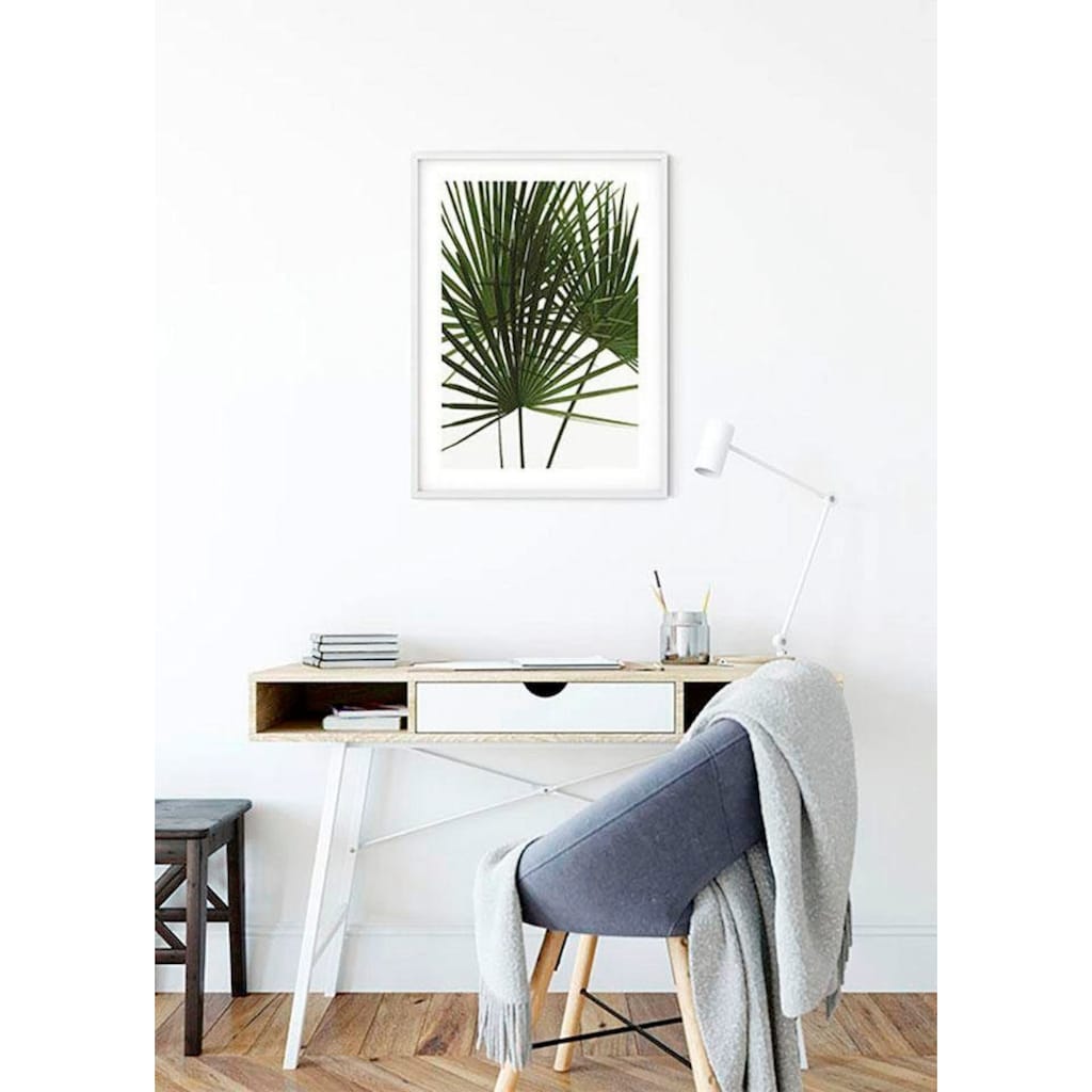 Komar Poster »Palmtree Leaves«, Pflanzen, (1 St.)