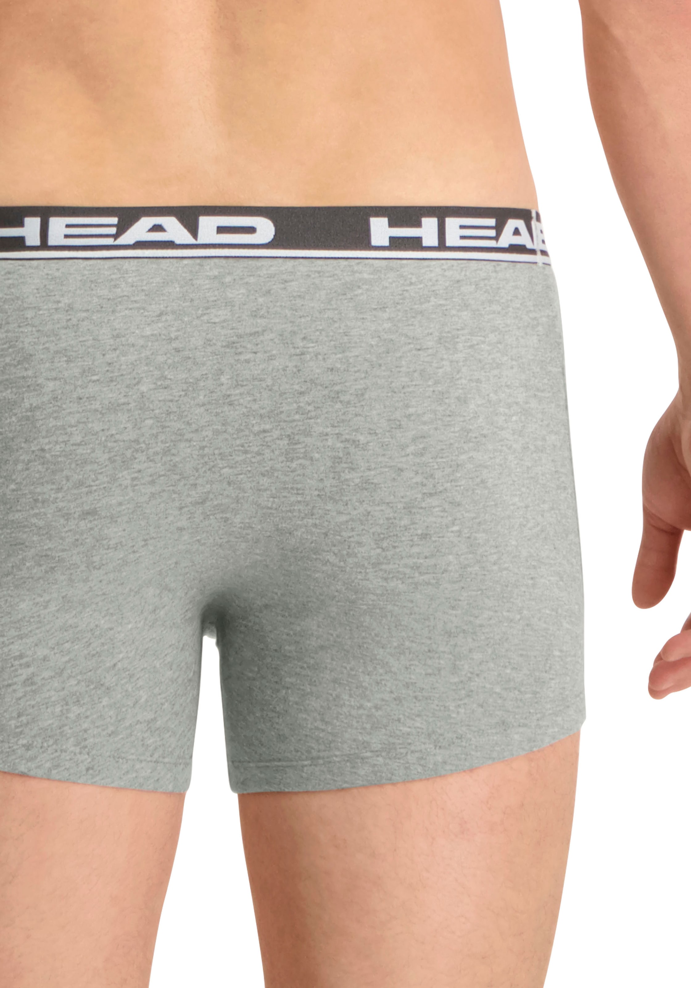 Head Boxershorts »HEAD BASIC BOXER 2P«, (2er Pack), mit elastischem Logobund