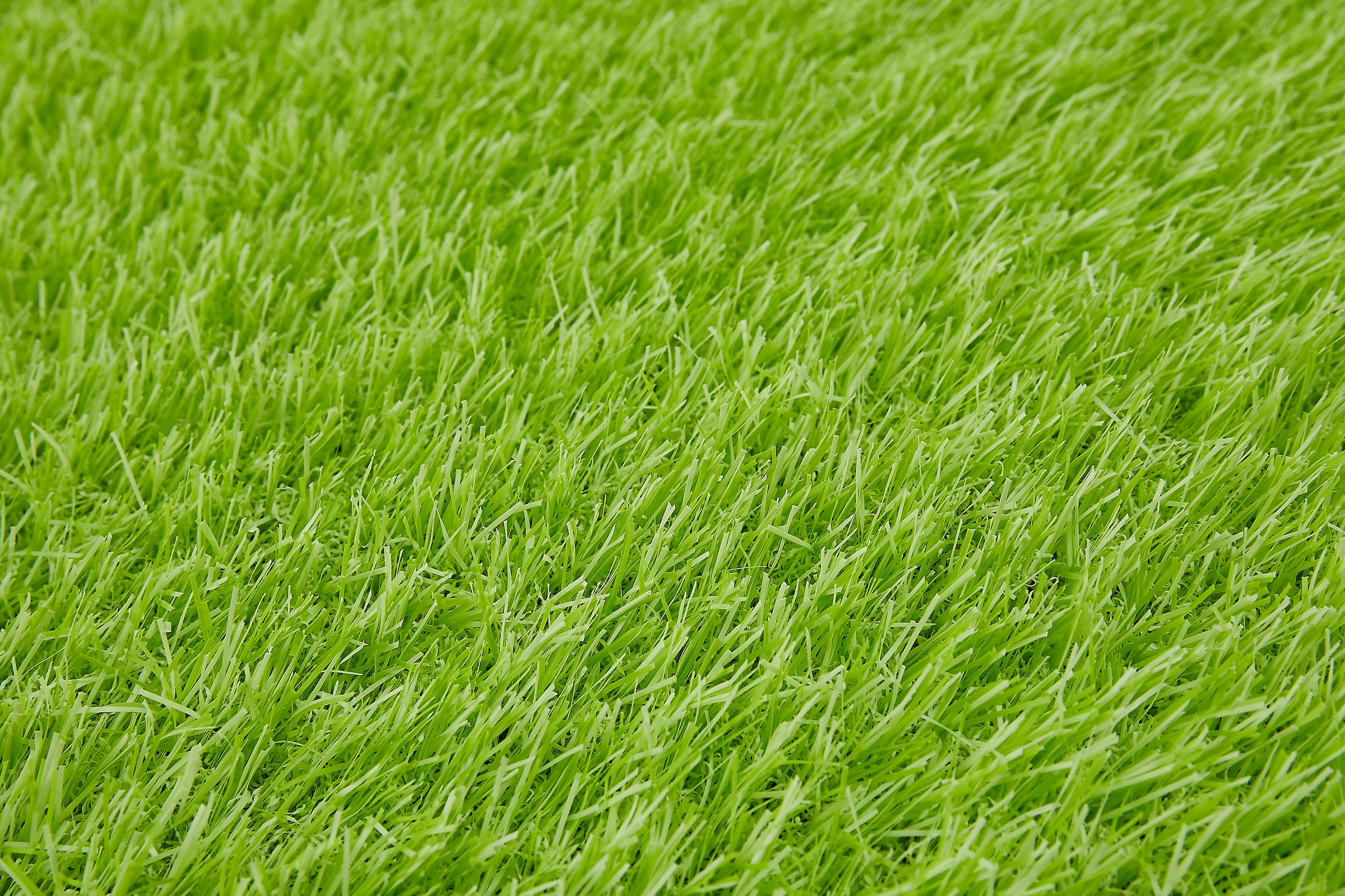 Andiamo Kunstrasen »Trendy, Made in Netherlands«, rechteckig, 25 mm Höhe, Rasenteppich, moderne Optik, mit Drainagelöchern, strapazierfähig