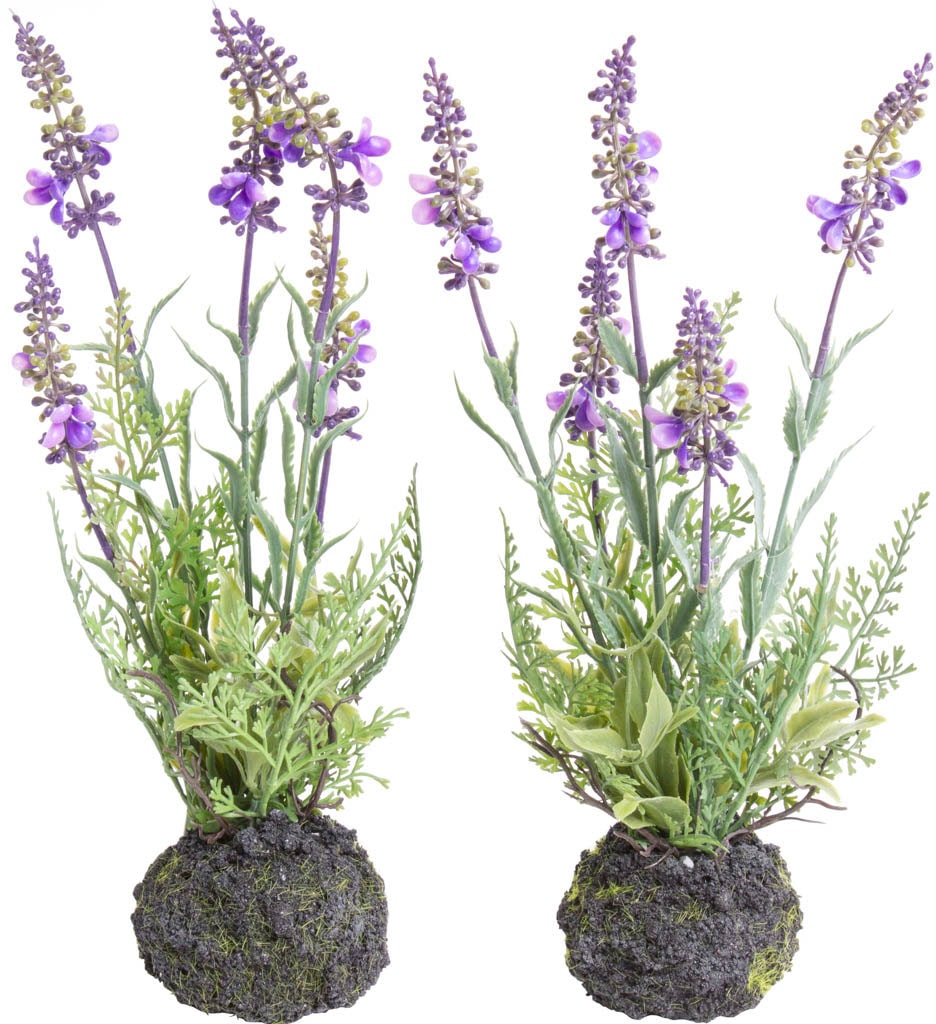 Botanic-Haus Künstliche Zimmerpflanze »Lavendel«