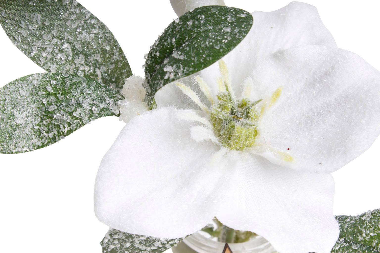 Botanic-Haus Künstliche Zimmerpflanze »Mistel-Arrangement«