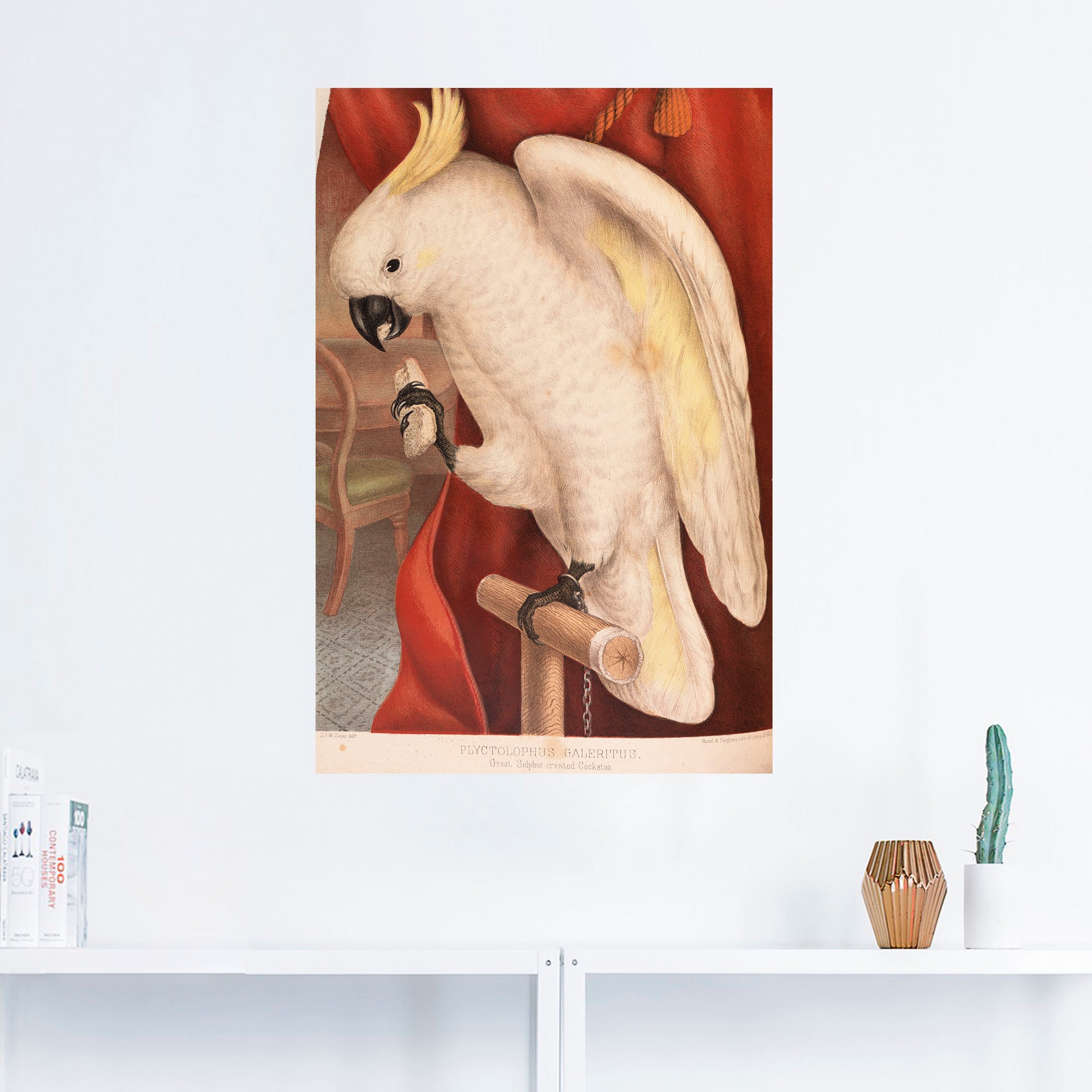 Artland Wandfolie »Grosser Gelbhaubenkakadu«, Vogelbilder, (1 St.), selbstklebend