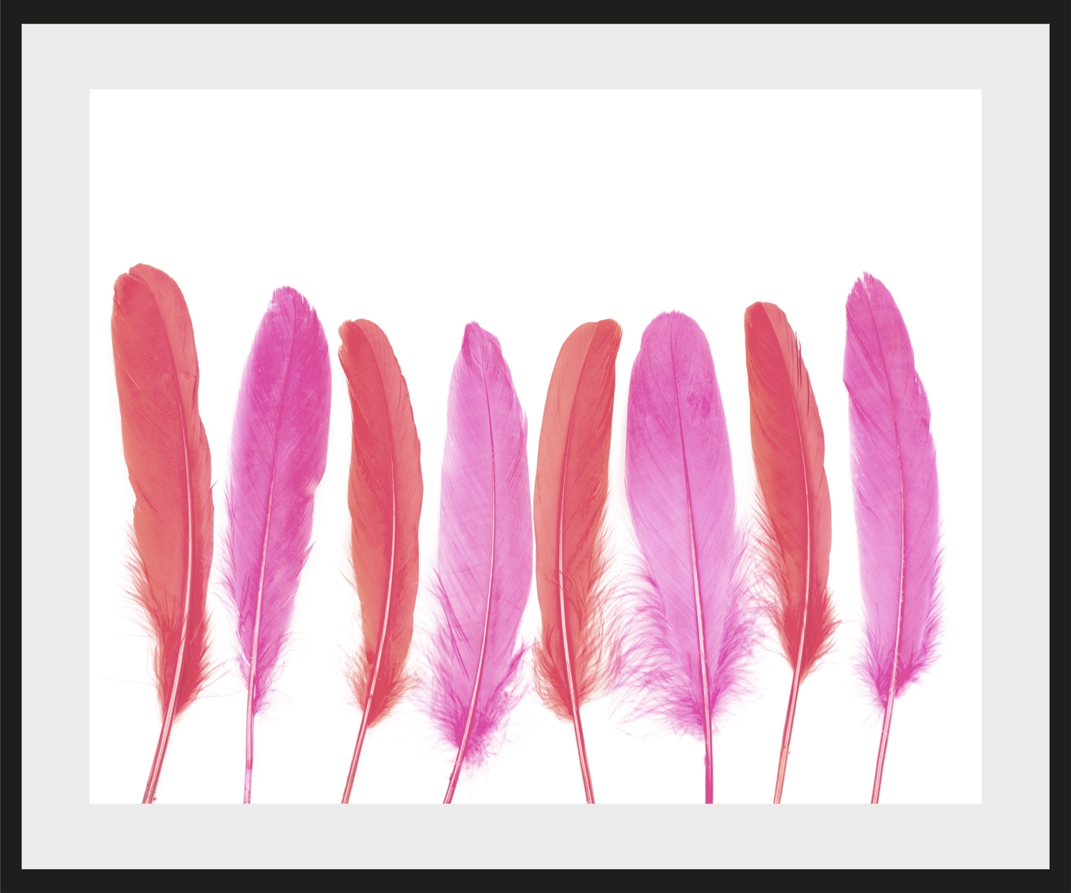 queence Bild "Ulla" Federn  Kunst