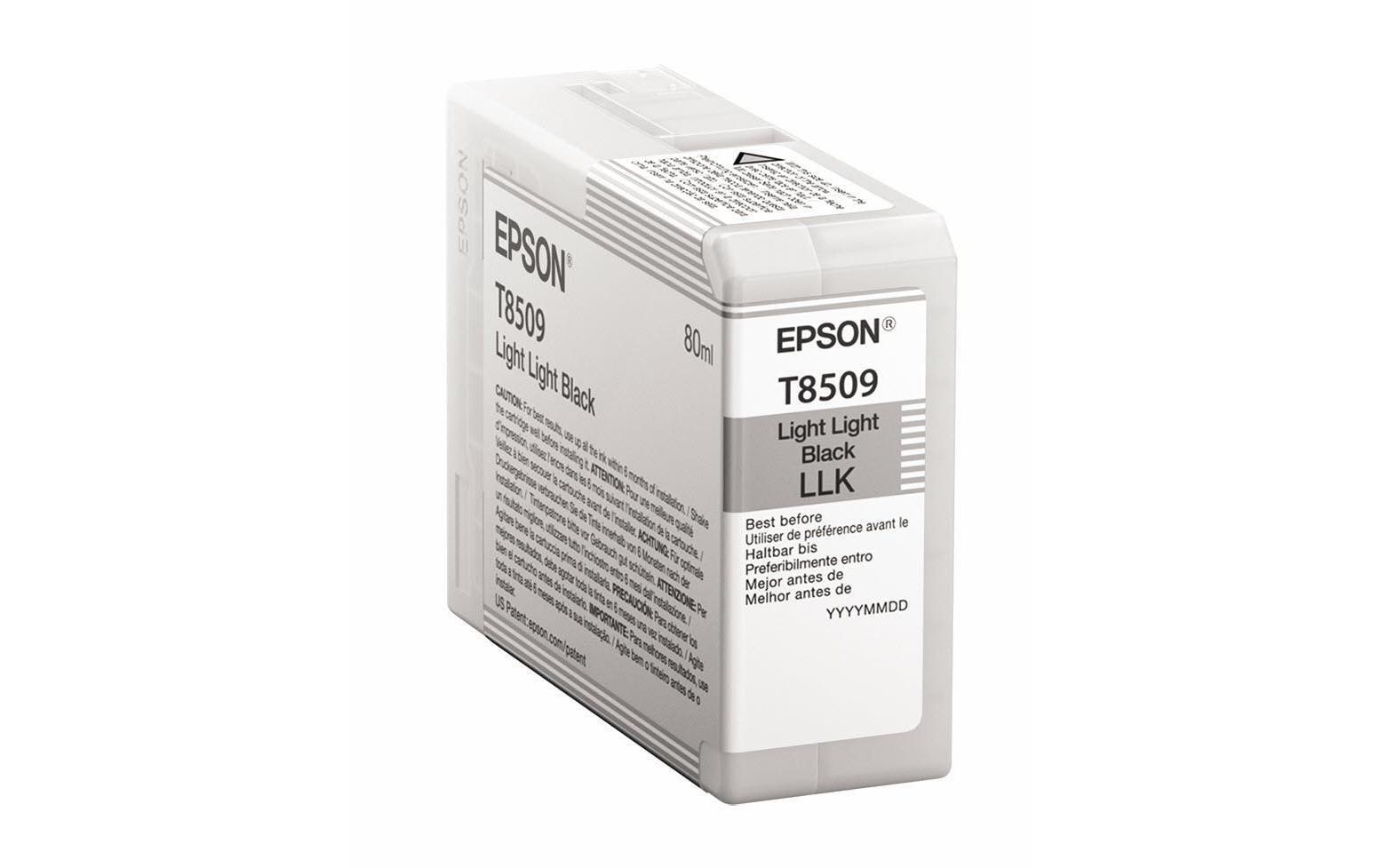 Epson Tintenpatrone "C13T850900"