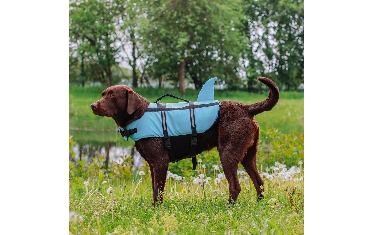 Nobby Hundeweste »Sharki L, 40 cm, Blau«