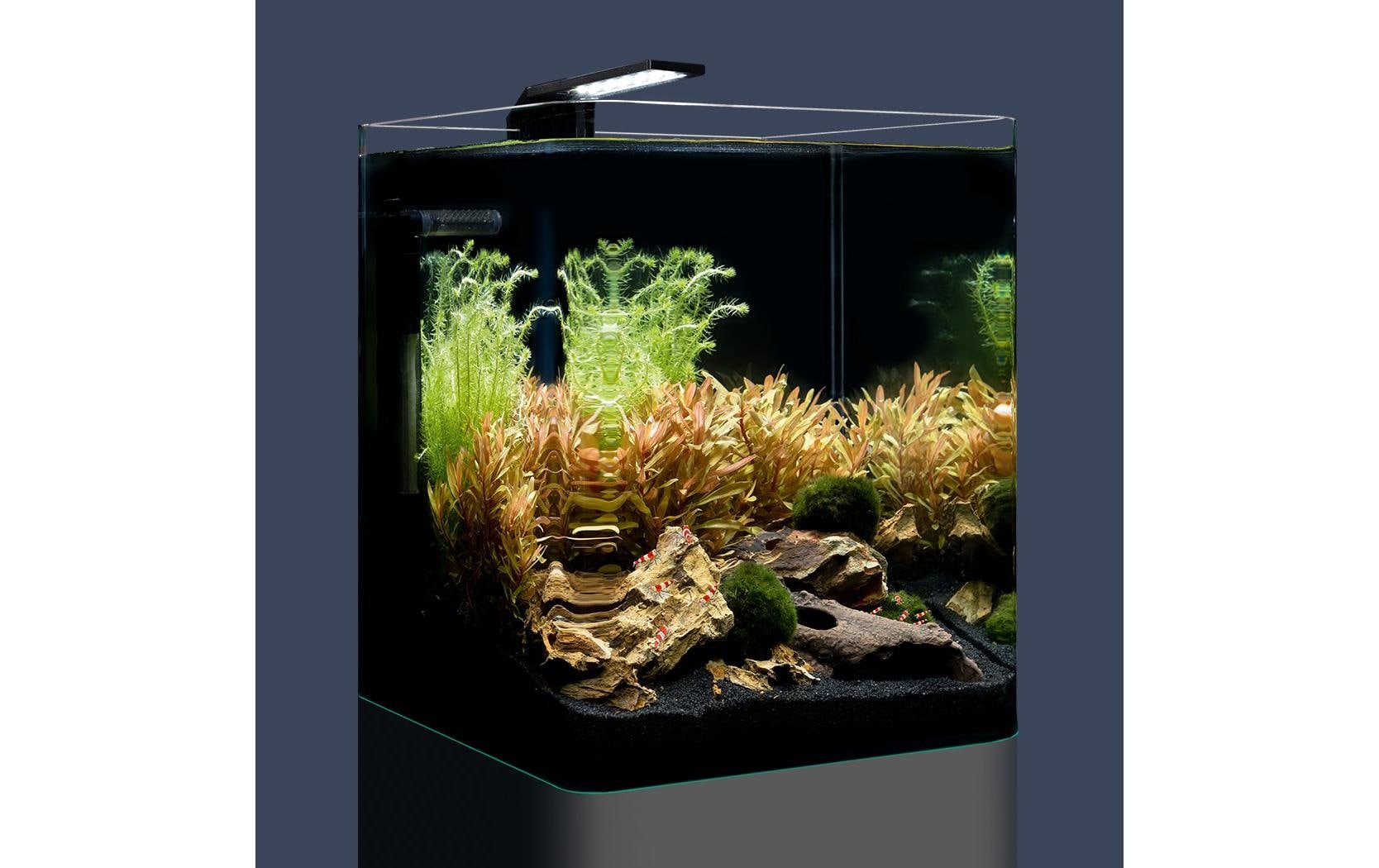 DENNERLE Aquarium »Nano Cube Basic, 20 l«