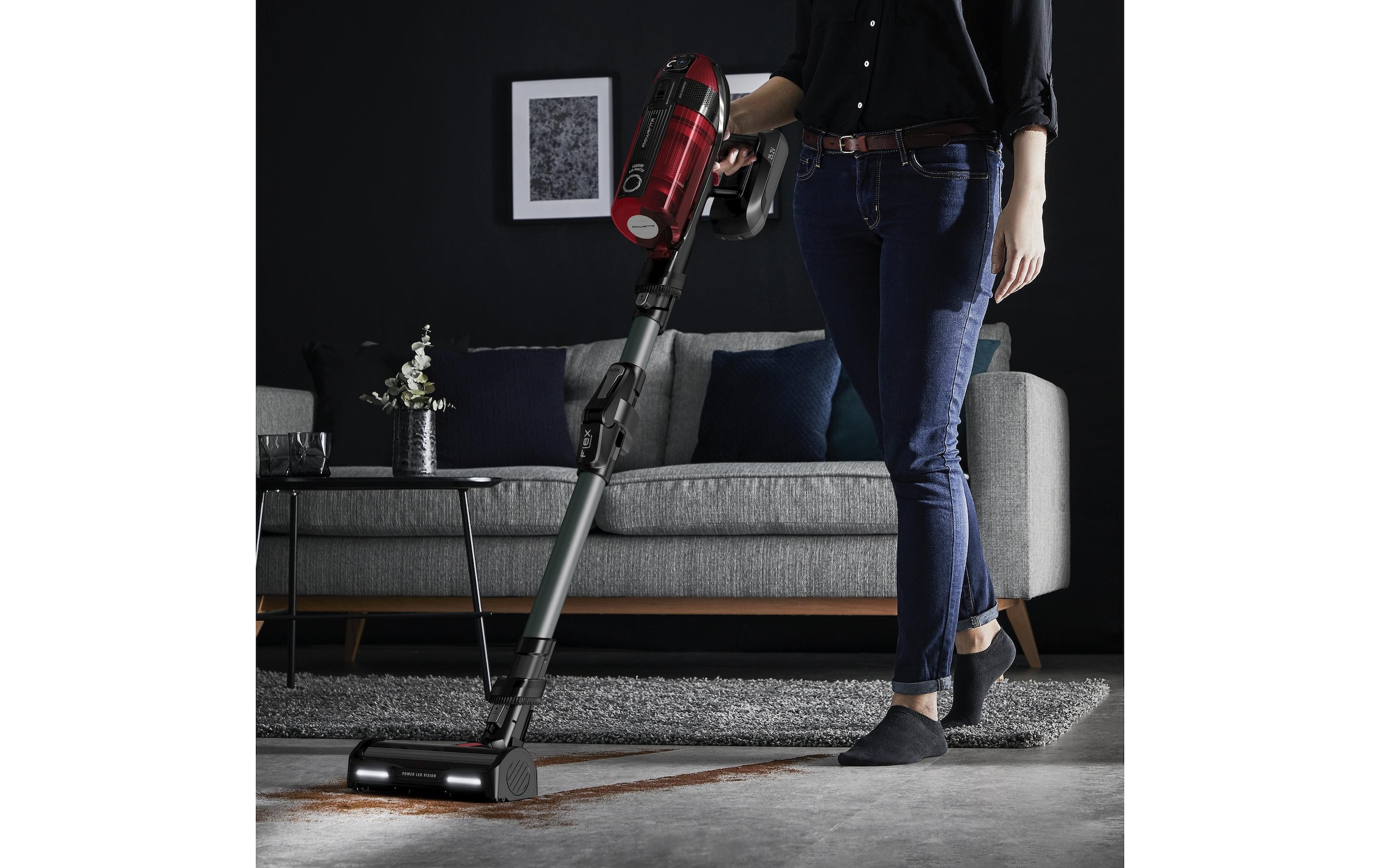 Rowenta Akku-Hand-und Stielstaubsauger »X-Force 22251 Animal«