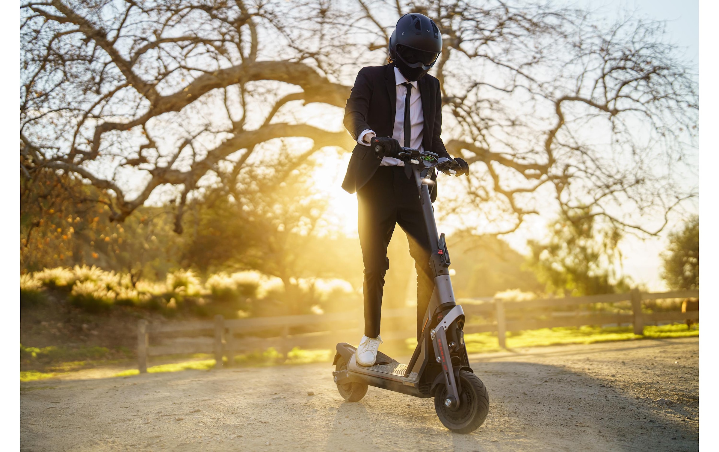 ninebot by Segway E-Scooter »Segway Ninebot GT2P«