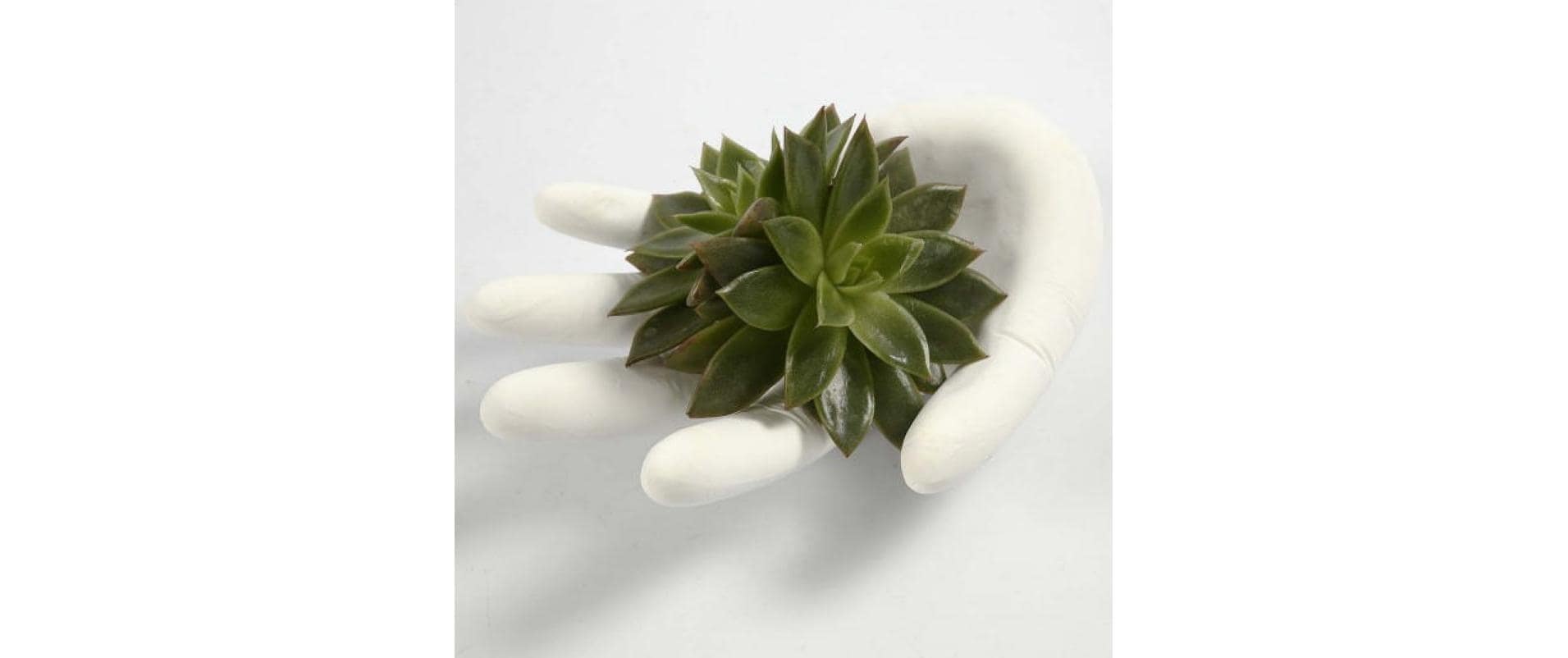 creativ company Kreativset »Cera«