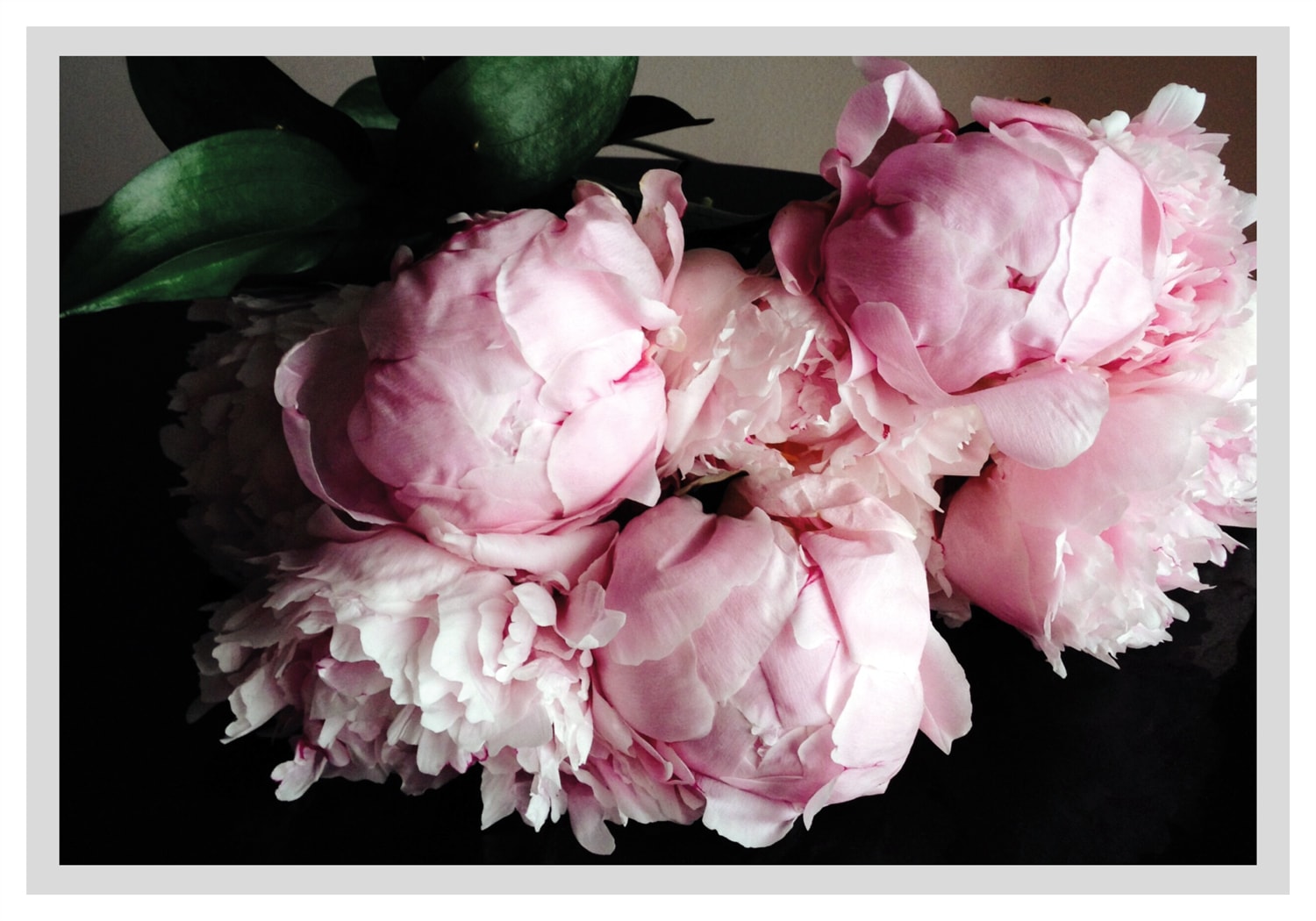 Bild | Rosen gerahmt, online kaufen »Gunni«, Blumen, queence Jelmoli-Versand