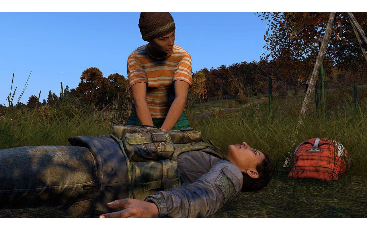 Spielesoftware »DayZ«, PlayStation 4