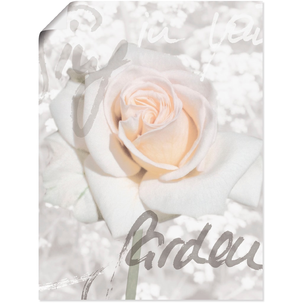 Artland Wandbild »In Lettern - Rose«, Blumen, (1 St.)