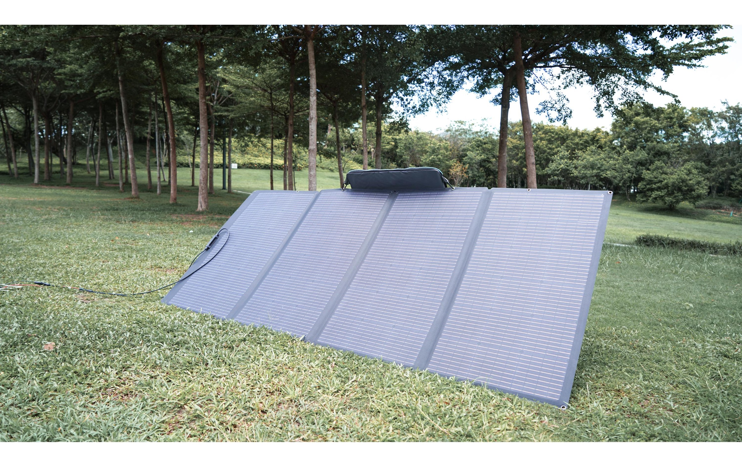 Ecoflow Solarmodul »faltbar, MC4, Schwarz 400 W«