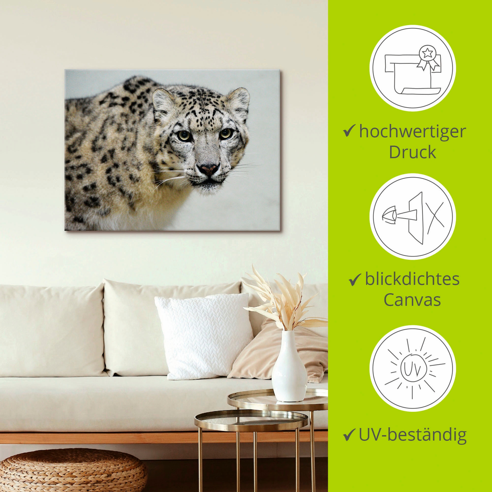 Artland Wandbild »Schneeleopard«, Wildtiere, (1 St.), als Alubild, Outdoorbild, Leinwandbild in verschied. Grössen