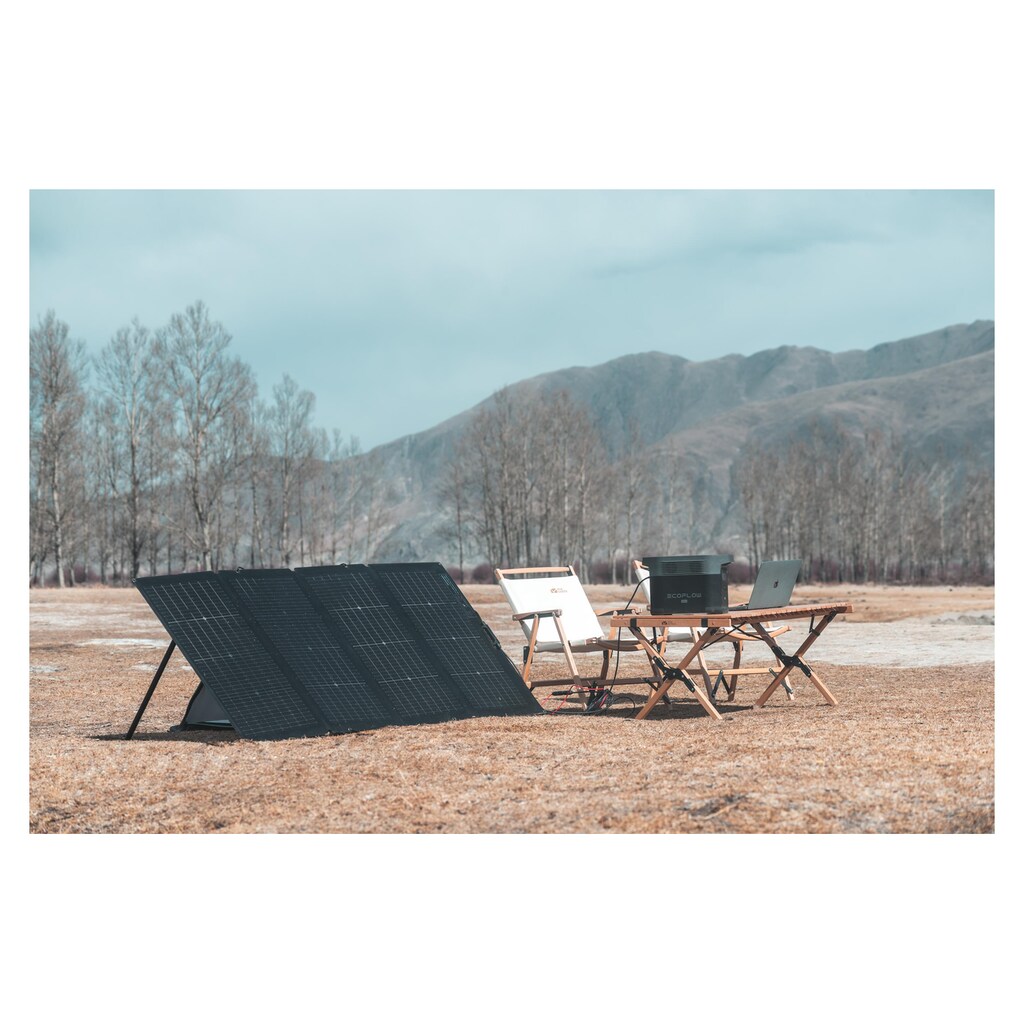 Ecoflow Solarmodul »faltbar, MC4, Schwarz 220 W«