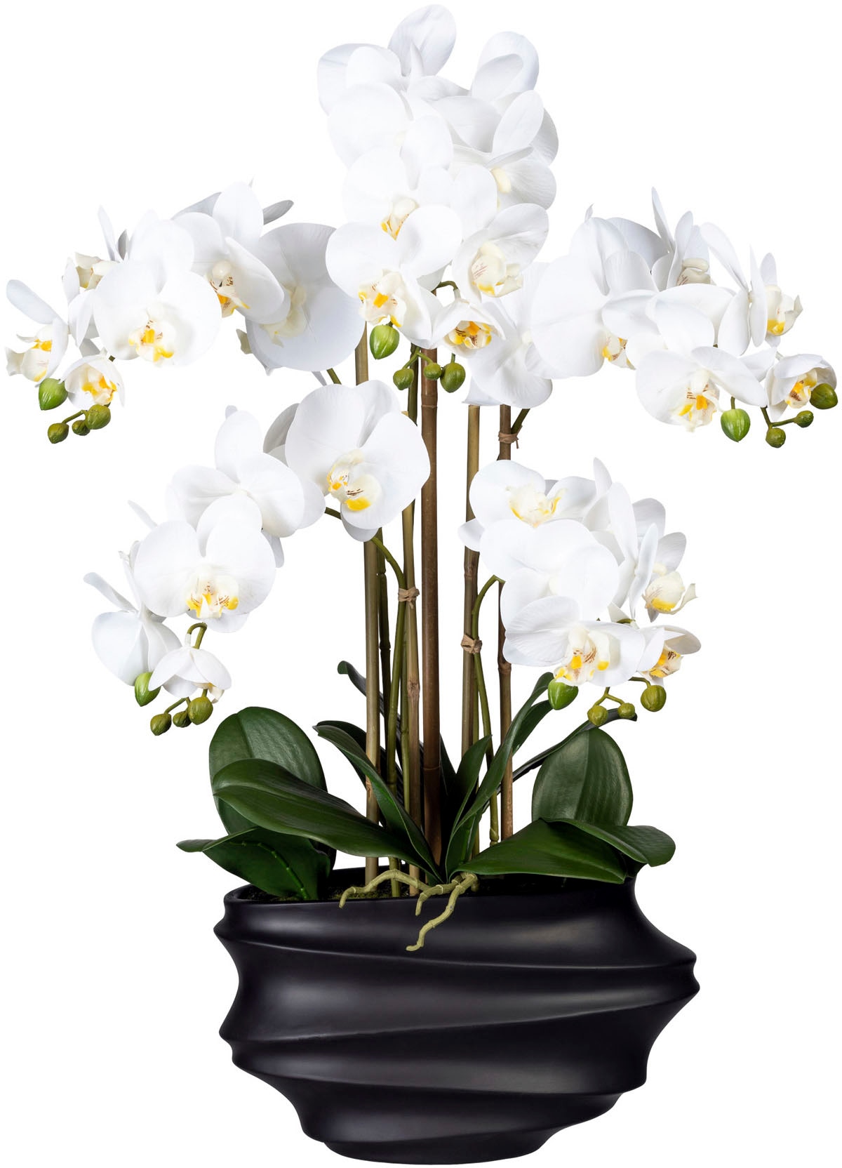 Creativ green Kunstorchidee »Phalaenopsis«, in Design-Kunststoffvase