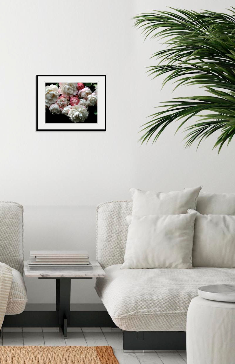 ❤ queence Bild »Alexa«, Blumen, (1 St.) kaufen im Jelmoli-Online Shop