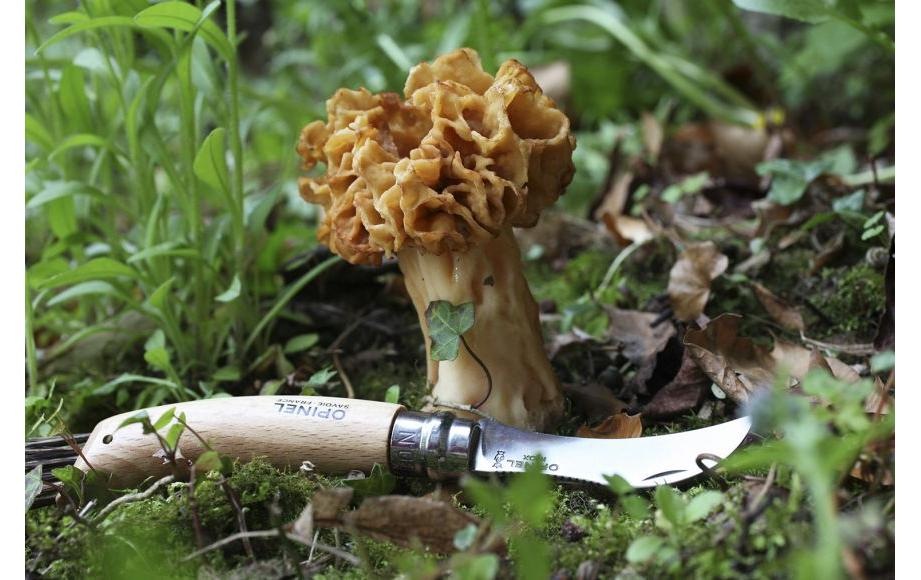 Taschenmesser »Opinel N°8«