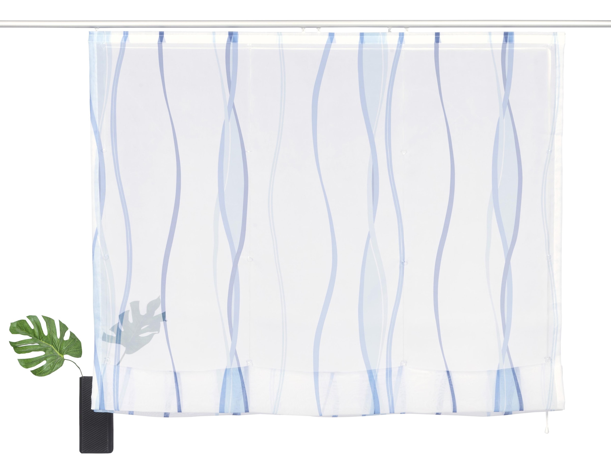 my home Polyester, Jelmoli-Versand Raffrollo Transparent, kaufen mit Voile, Klettschiene, | »Dimona«, online Wellen