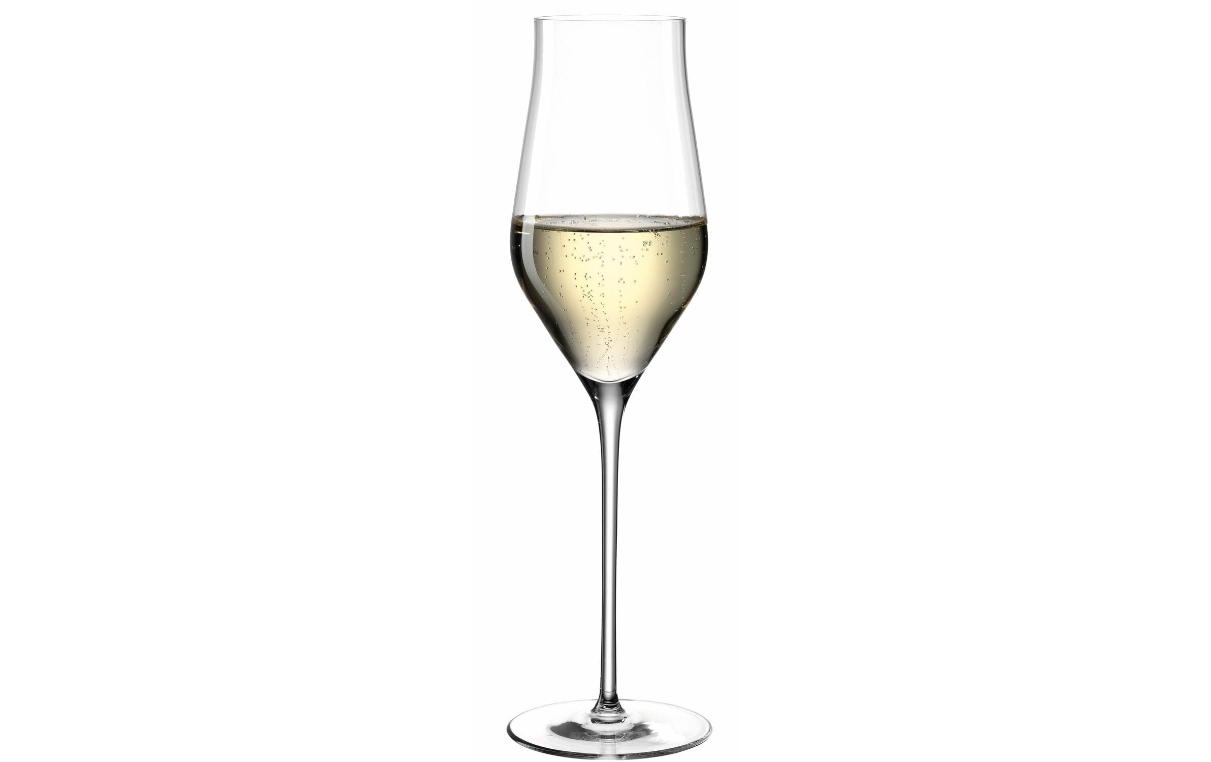 LEONARDO Champagnerglas »Champagnerglas Brunelli 34«