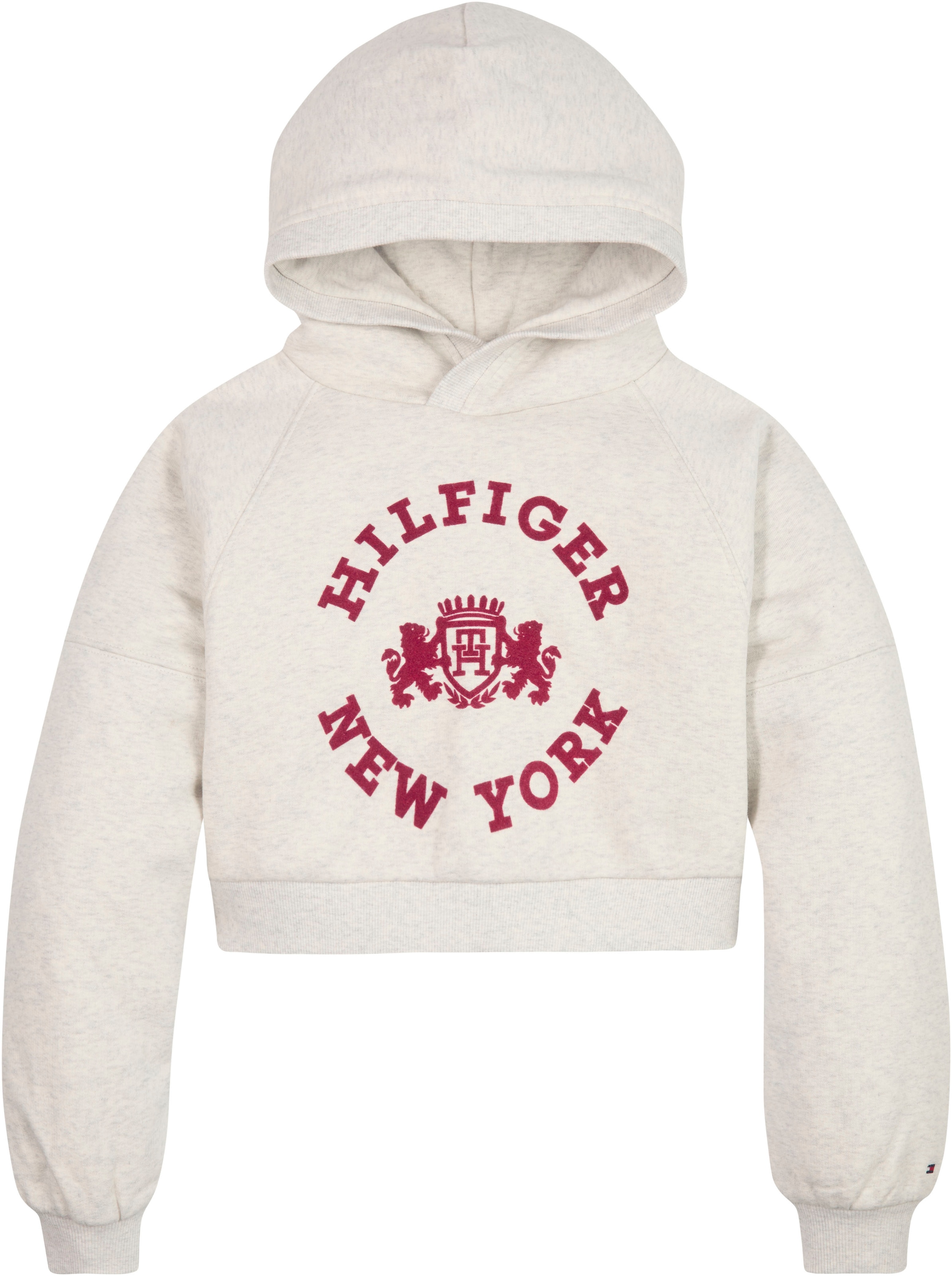 ✵ Tommy Hilfiger Kapuzensweatshirt »HILFIGER CREST HOODIE SWEATSHIRT«  günstig bestellen | Jelmoli-Versand