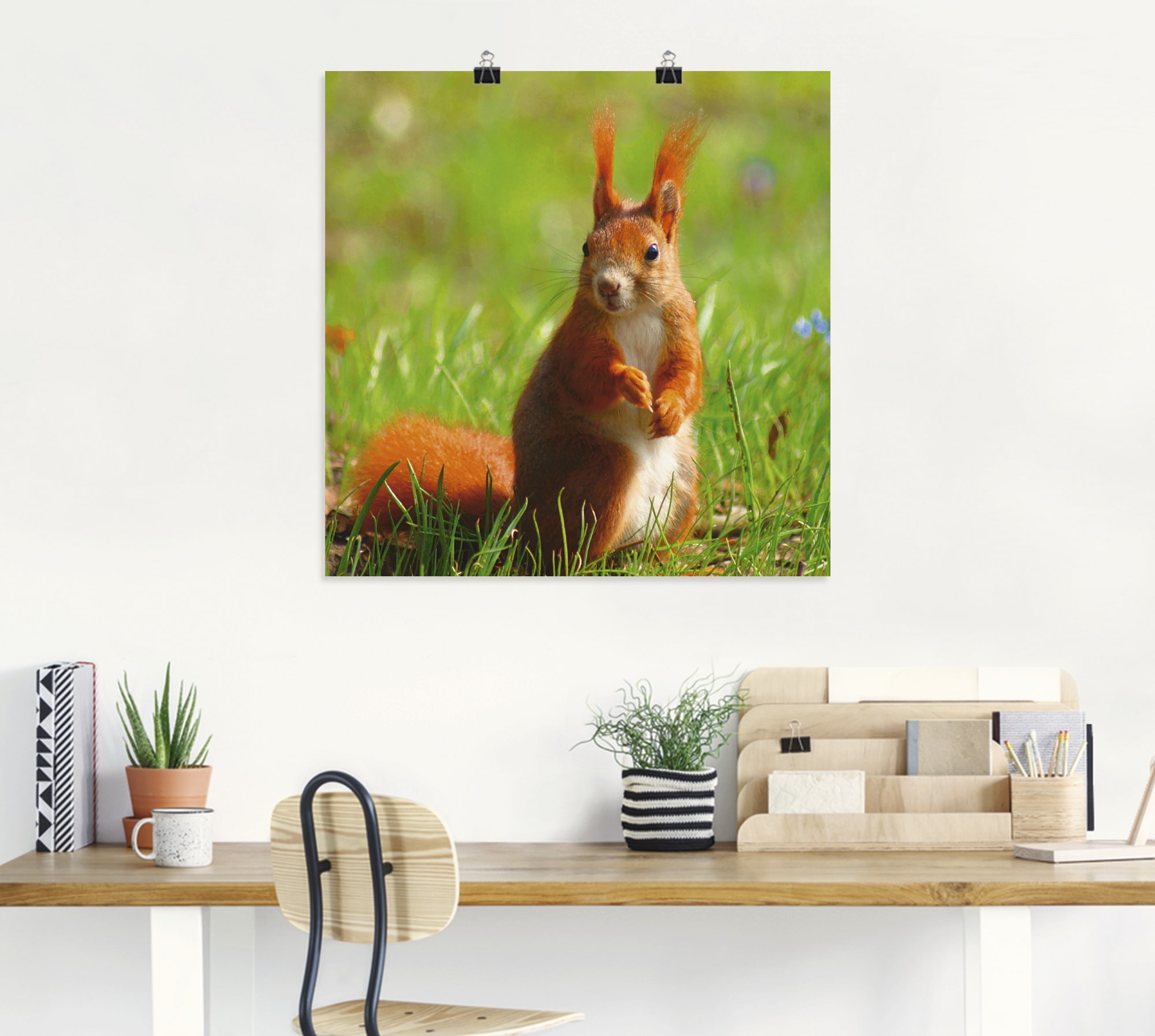 Artland Poster »Eichhörnchen Kontakt«, Wildtiere, (1 St.), als Leinwandbild, Wandaufkleber oder Poster in versch. Grössen