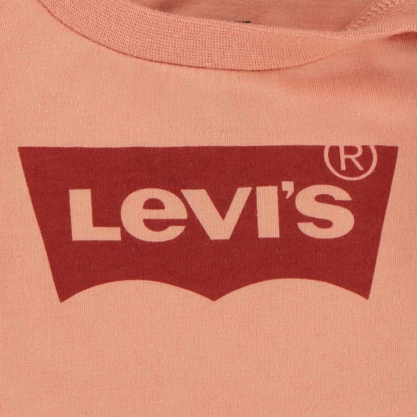 Levi's® Kids Langarmshirt, for BABYS