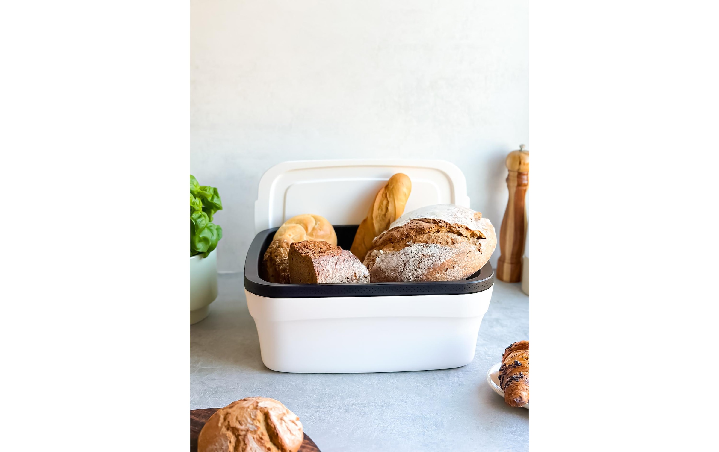 TUPPERWARE Brotkasten »Bread Smart Junior 32 x 16 x 15 cm Weiss«, (1 tlg.)