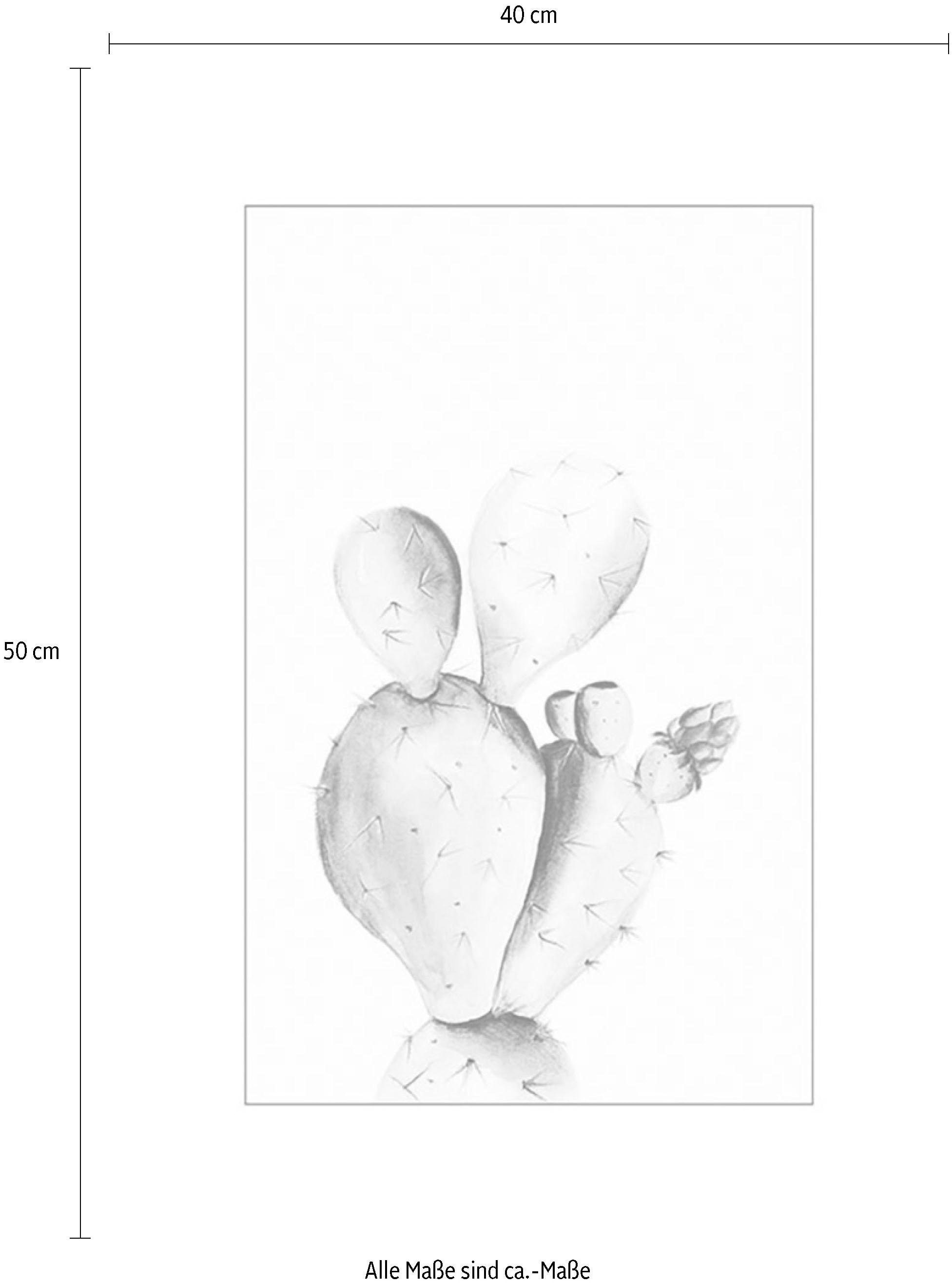 (1 Schlafzimmer, Jelmoli-Online Komar Poster Pflanzen-Blätter, im »Prickly St.), Shop Watercolor«, Kinderzimmer, ❤ Pear ordern Wohnzimmer
