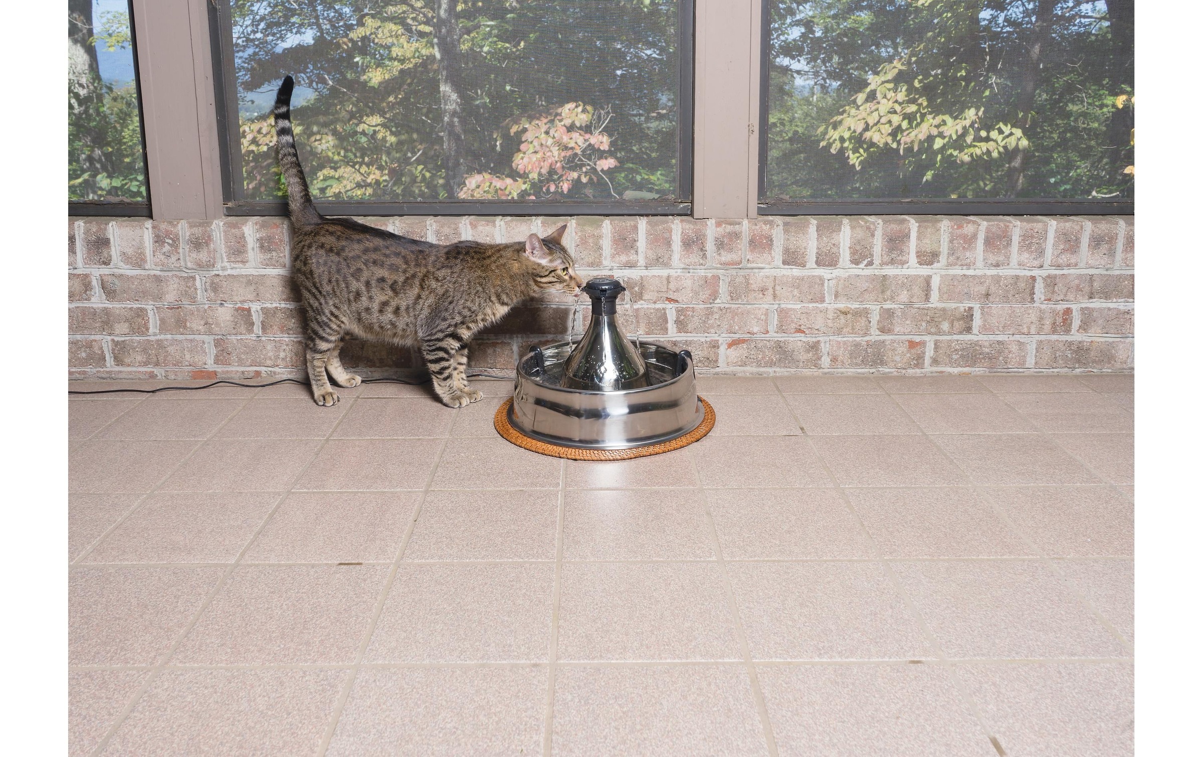 PetSafe Wasserspender »PetSafe Drinkwell 360«