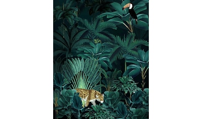 Vliestapete »Jungle Night«