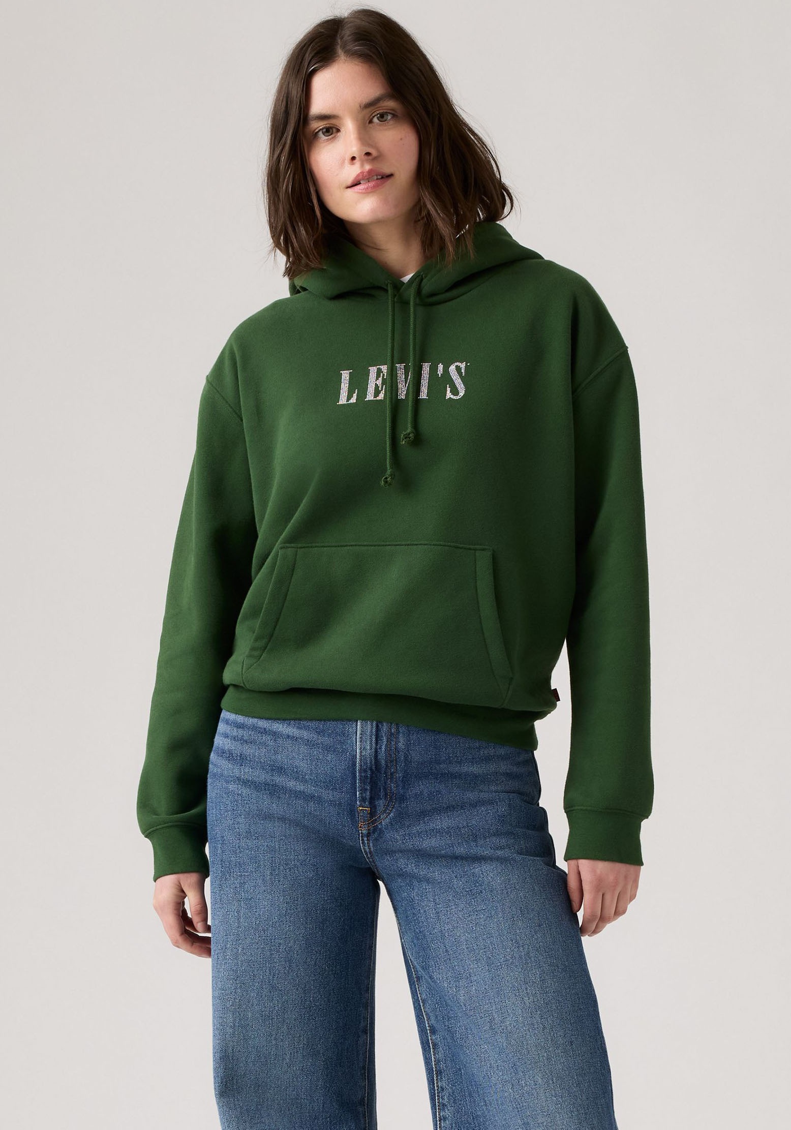 Levi's® Hoodie »GRAPHIC EVERYDAY«, mit Kapuze