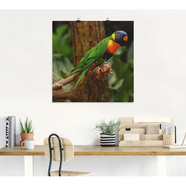 Artland Wandbild »Allfarblori im Baum«, Vögel, (1 St.), als Alubild,  Leinwandbild, Wandaufkleber oder Poster in versch. Grössen online shoppen |  Jelmoli-Versand