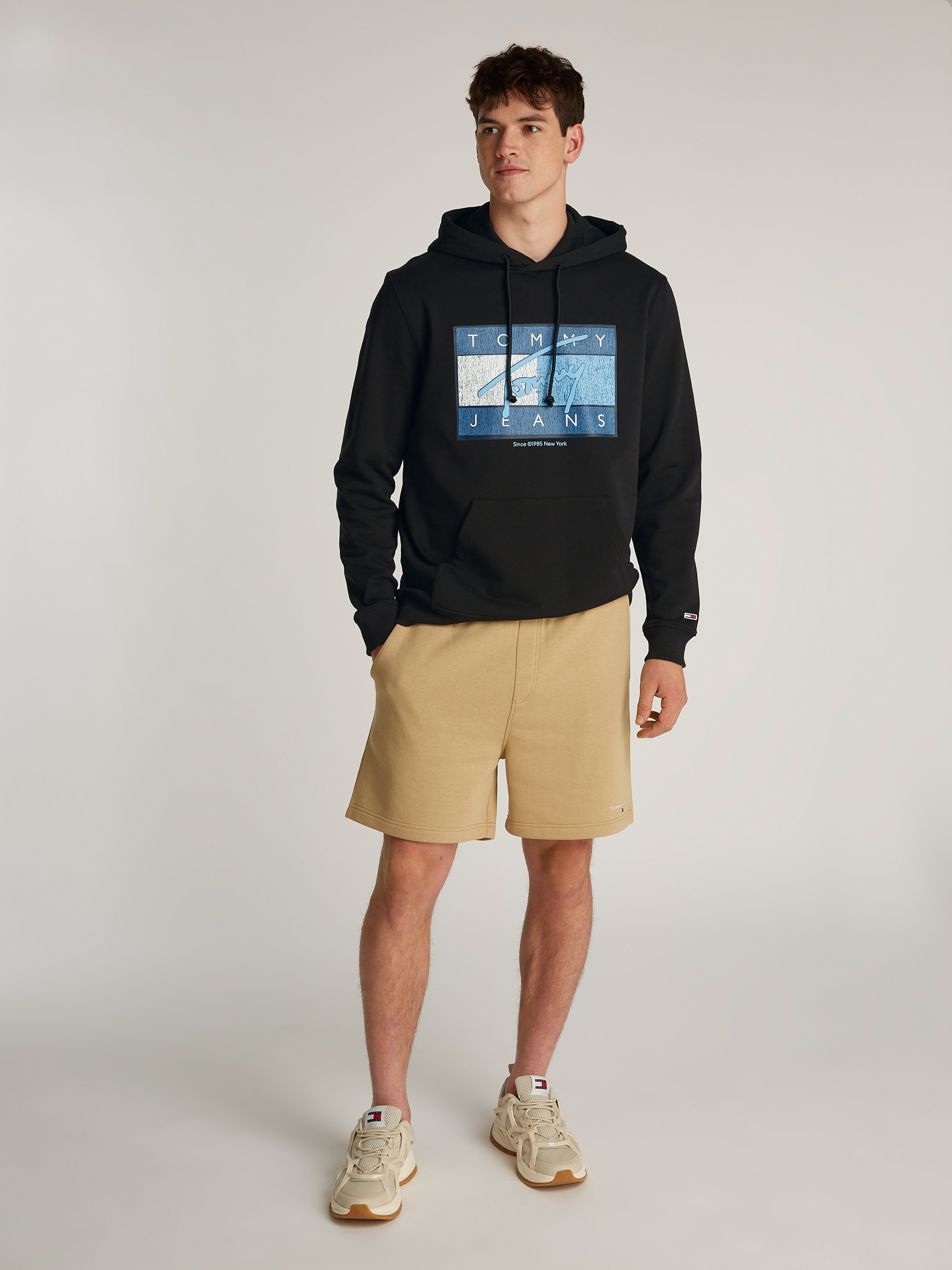 Tommy Jeans Hoodie »TJM REG DNA FLAG TWIST HOOD EXT«, mit grossem Logo