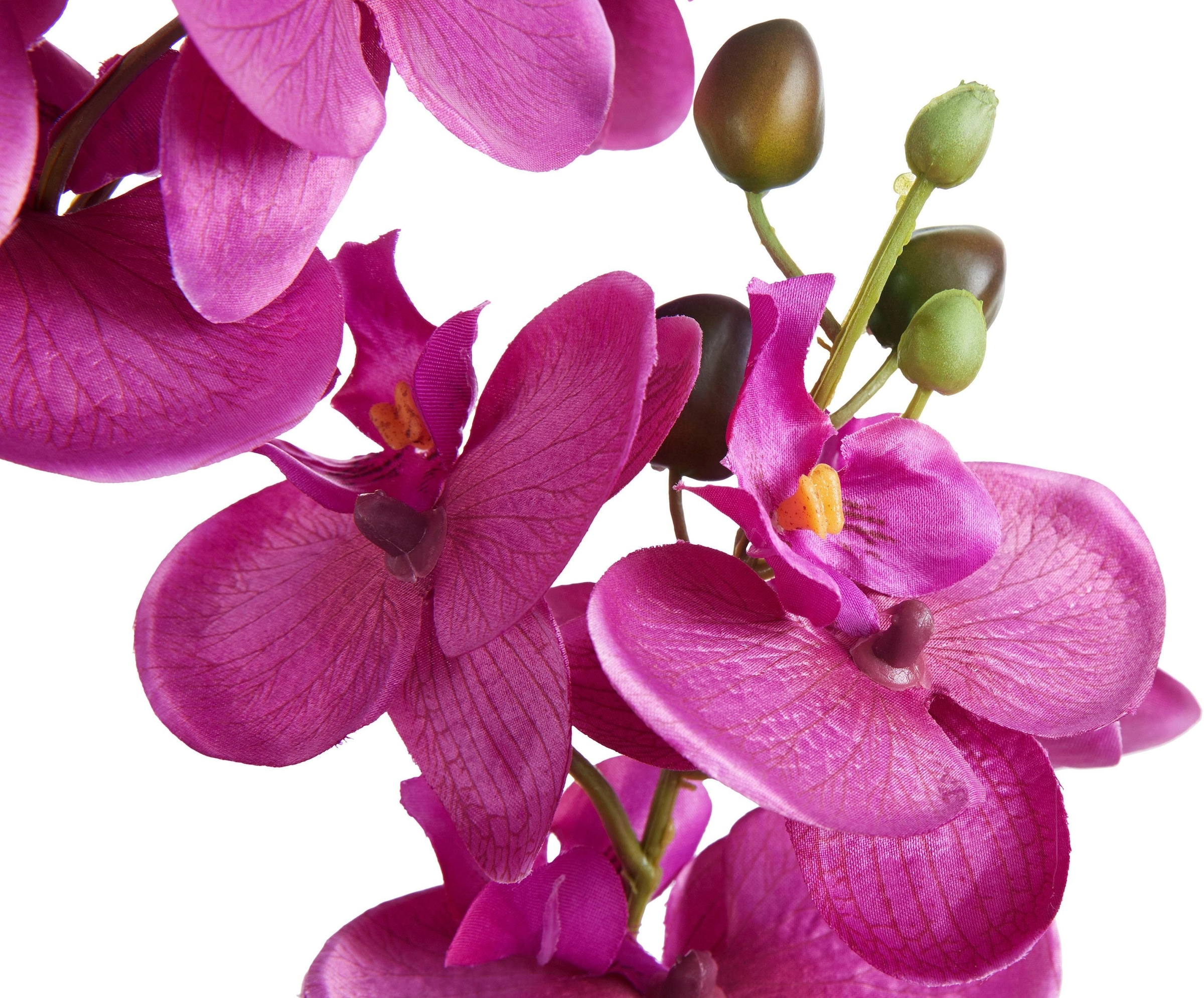 Creativ green Kunstpflanze »Orchidee«