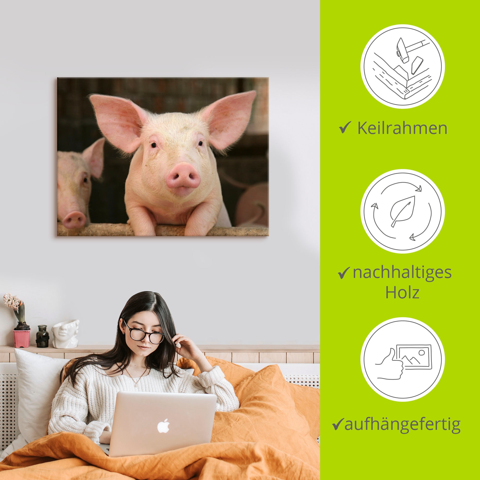 Artland Wandbild »Vorwitziges Schwein«, Haustiere, (1 St.), als Leinwandbild, Wandaufkleber in verschied. Grössen