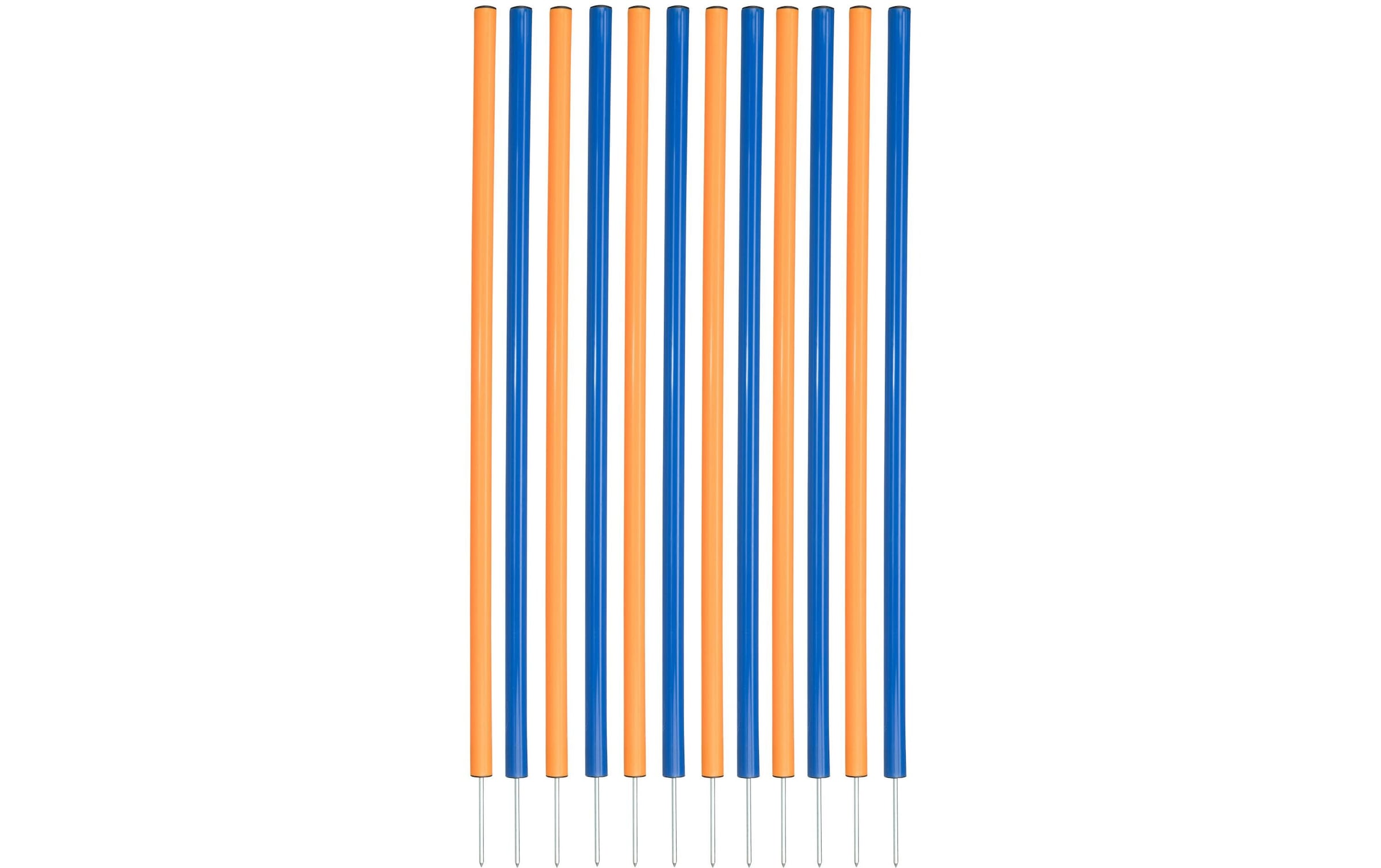TRIXIE Agility-Slalom »Agility Slalom Dog Activity Set, 12 Stangen«, Kunststoff