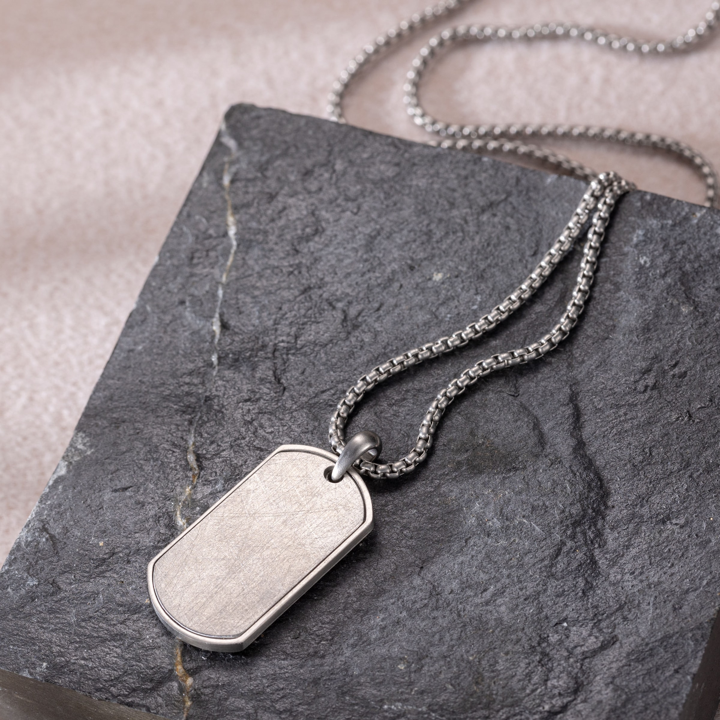 Firetti Kette mit Anhänger »Schmuck Geschenk Edelstahl Halsschmuck Halskette Dog Tag Ice«