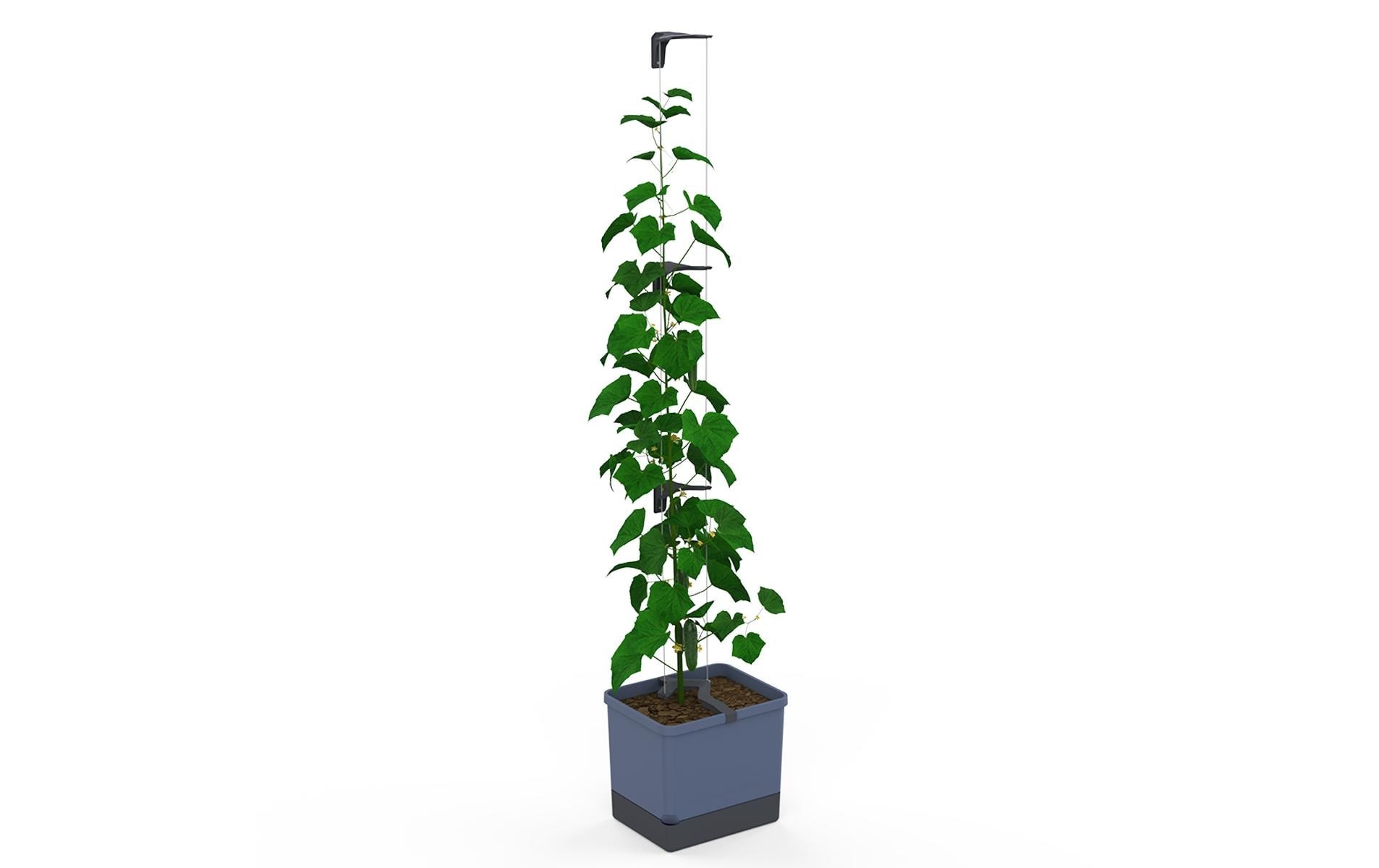 Gusta Garden Blumentopf