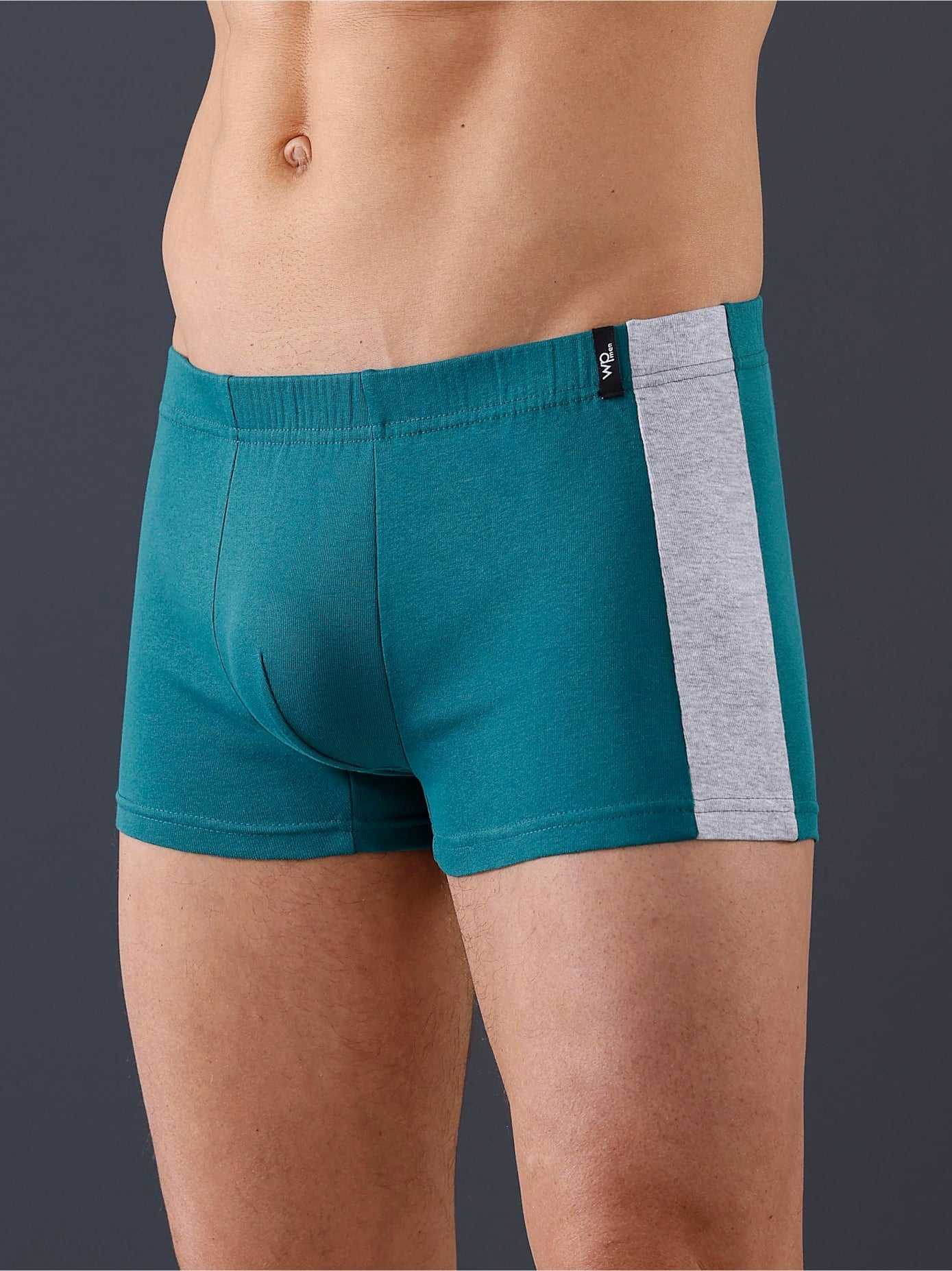 wäschepur Panty, (4 St.)