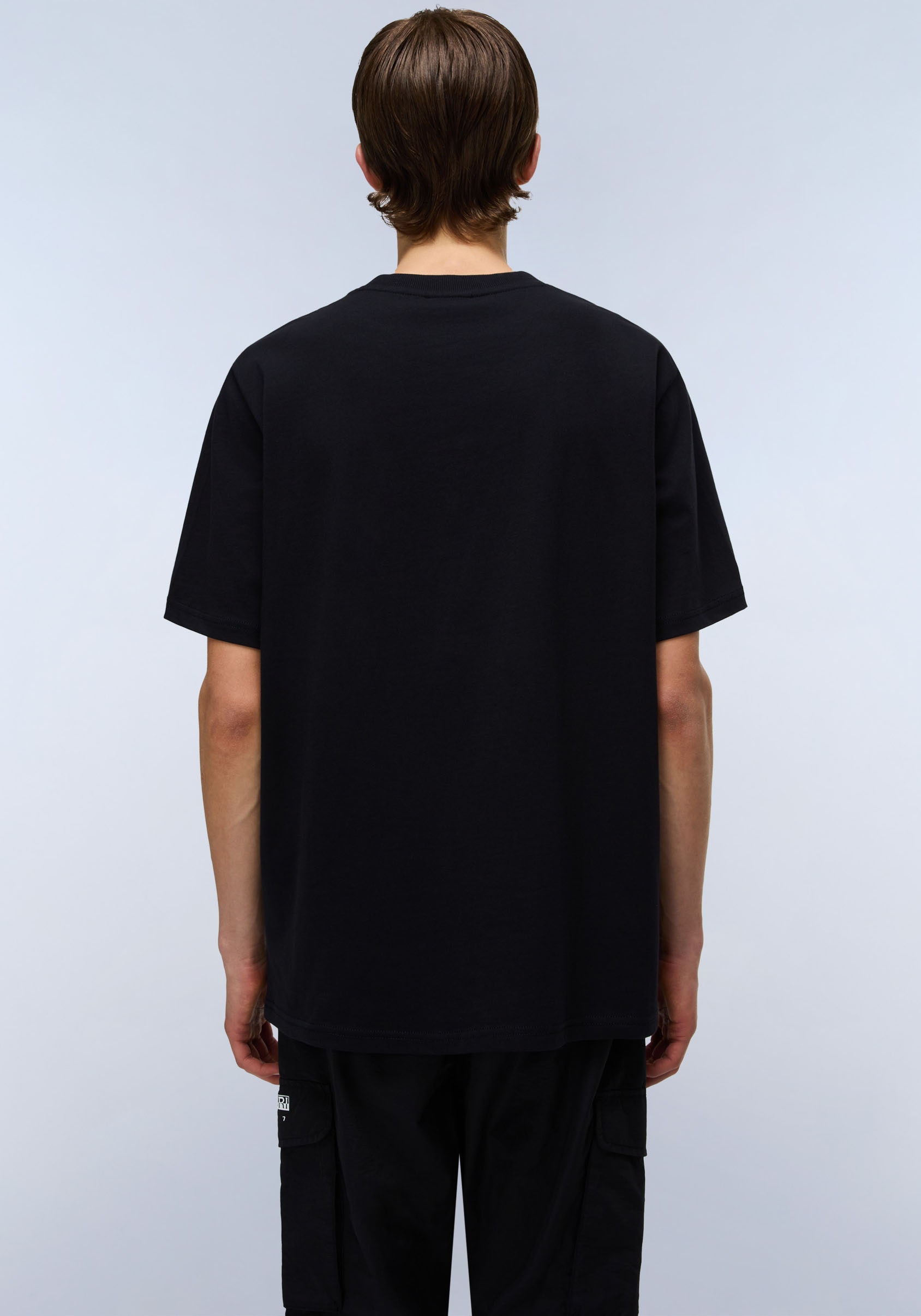 Napapijri T-Shirt »DRAPEAU«, mit Print, Rundhals, Jersey