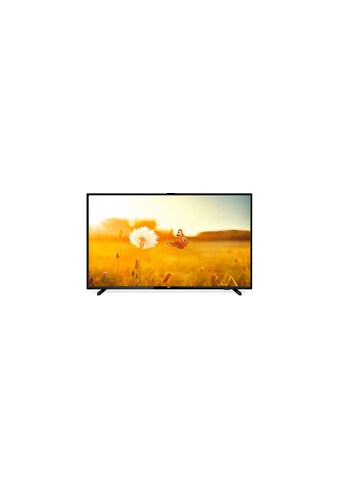Philips LCD-LED Fernseher »43HFL3014/12«, 108,79 cm/43 Zoll kaufen