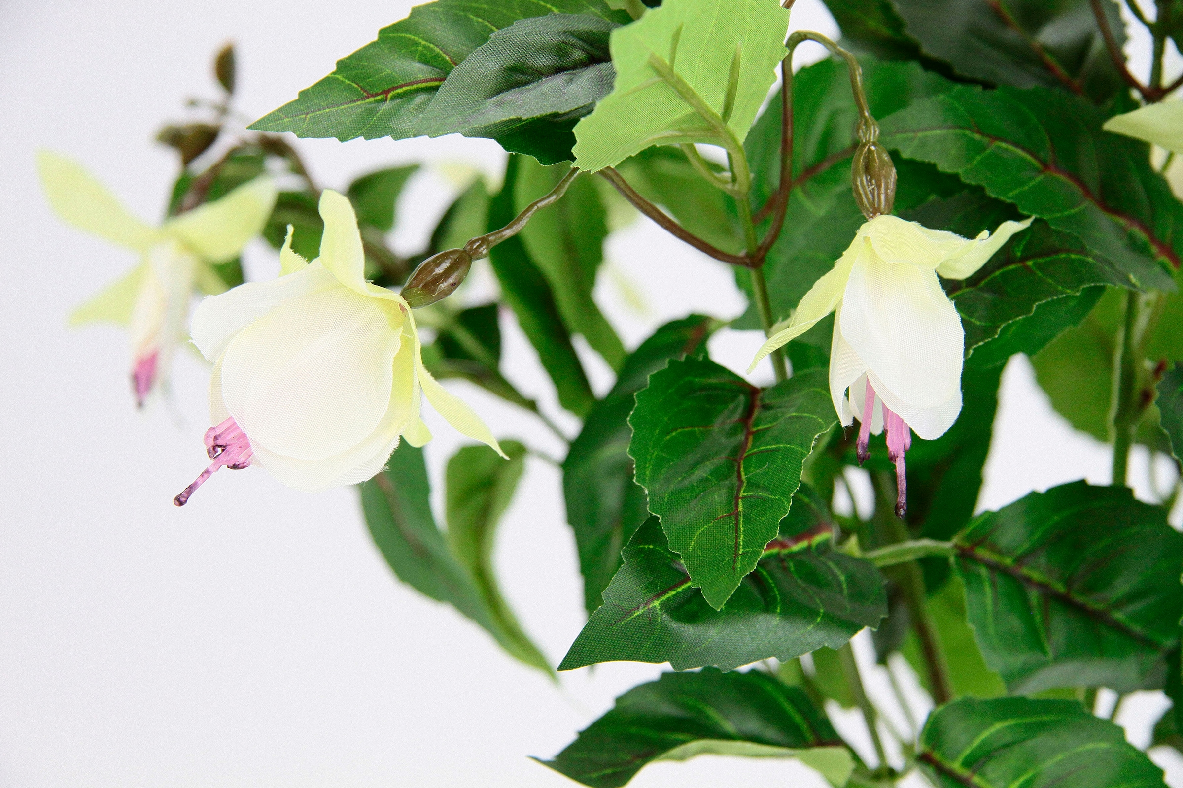 I.GE.A. Kunstblume Zimmerpflanze Topf kaufen Im Deko Hort online Jelmoli-Versand Topfpflanze »Fuchsien«, Hybrid Doppelblütenblätter 