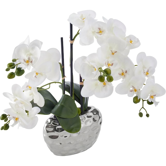shoppen Creativ Kunstpflanze »Orchidee« green | online Jelmoli-Versand
