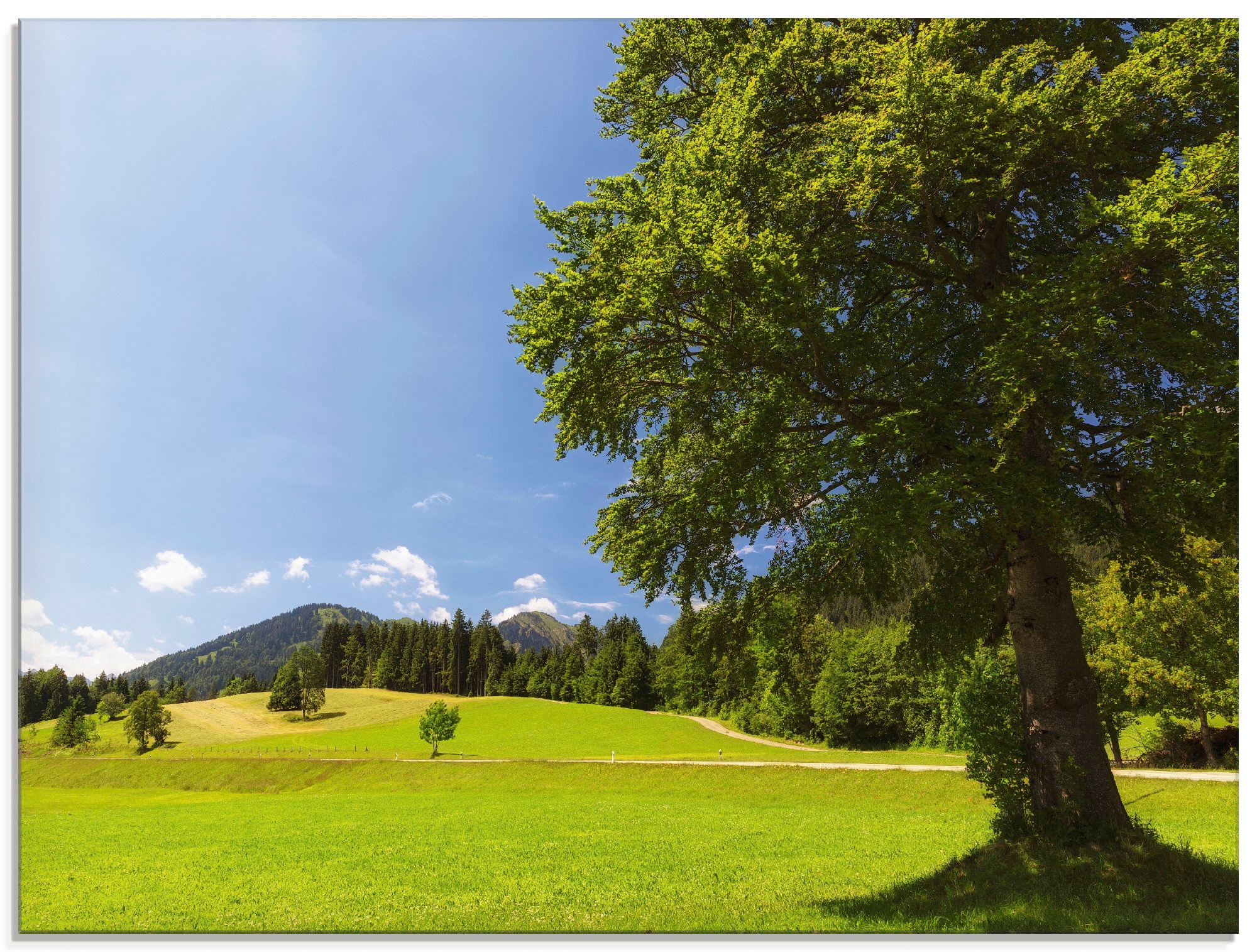 kaufen Jelmoli-Versand verschiedenen (1 Glasbild St.), Artland »Bayrische online in Wiesen Grössen | Landschaft«, Bäume, &