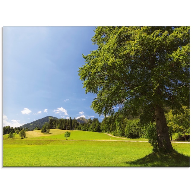 Artland Glasbild »Bayrische Landschaft«, Wiesen & Bäume, (1 St.), in  verschiedenen Grössen online kaufen | Jelmoli-Versand