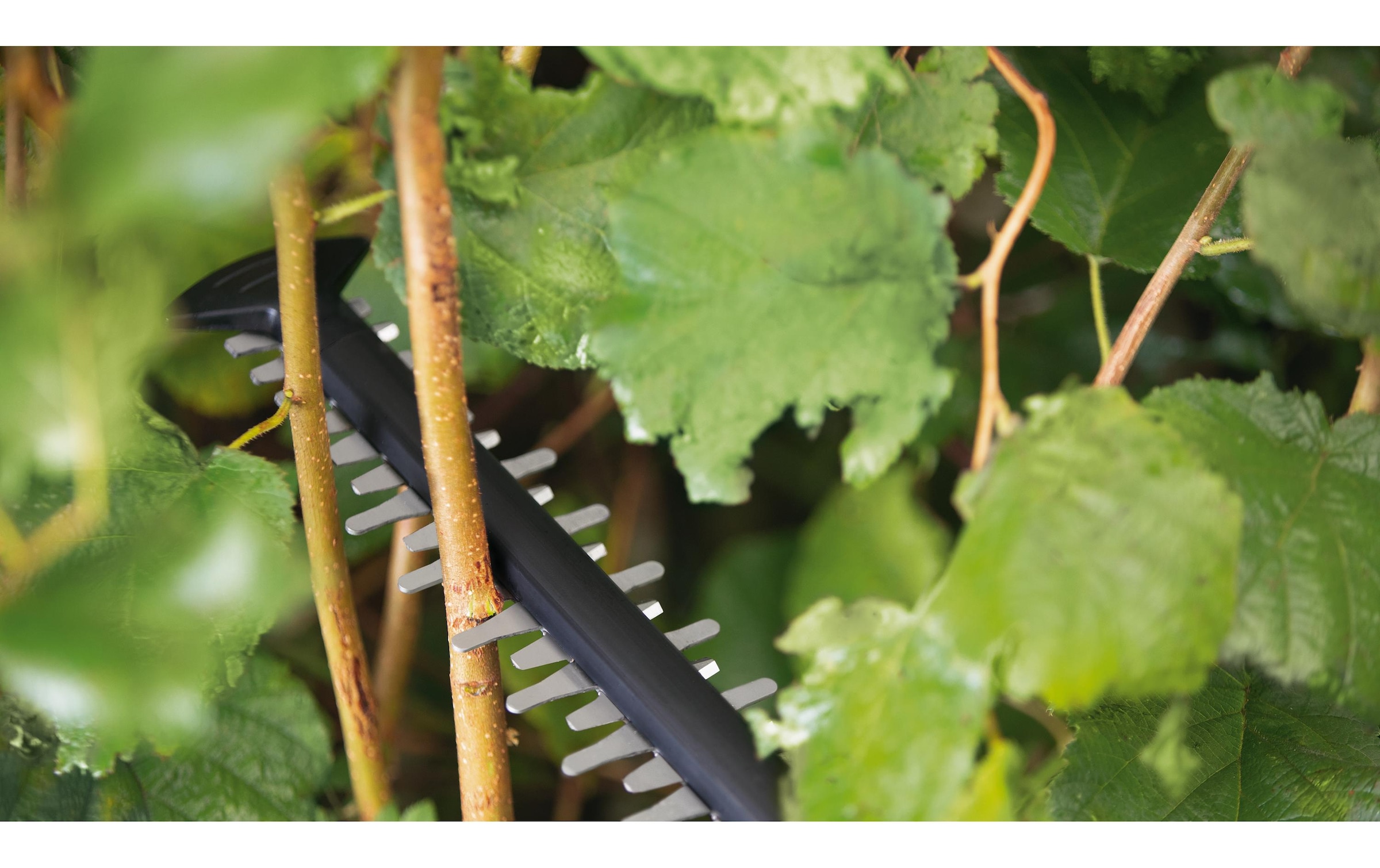 nicht definiert Akku-Heckenschere »UniversalHedgeCut 18 V-55«
