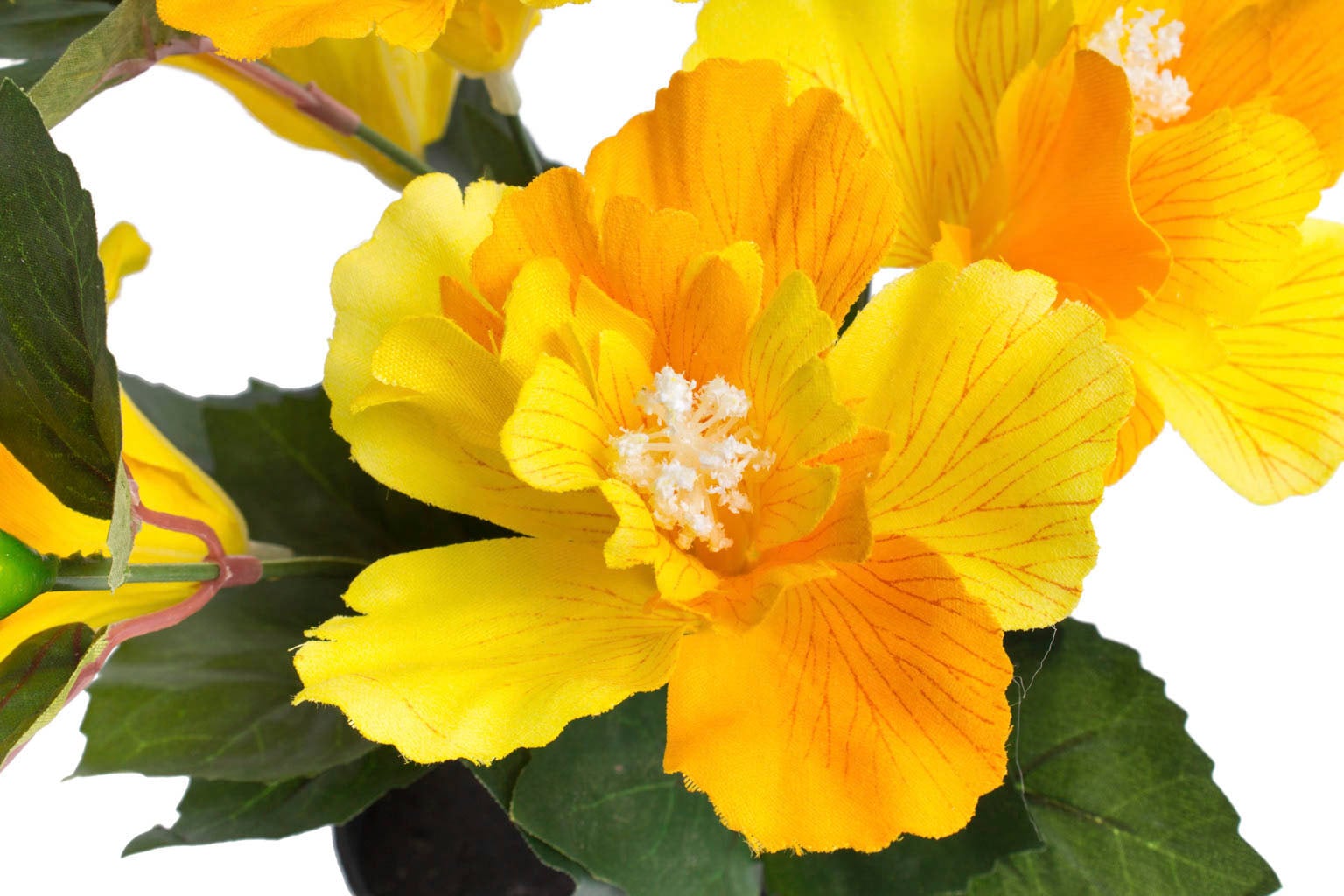 im »Hibiskus Jelmoli-Versand online Kunstblume bestellen Botanic-Haus Topf« |