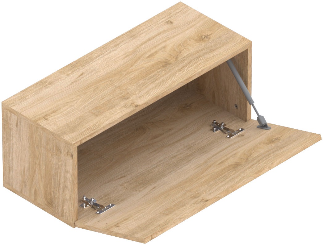 INOSIGN Hängevitrine »Infinity Breite 69 cm, Höhe 29 cm, Hängeschrank mit 1 Klappe,«, Wandschrank waagerecht zu hängen, verschiedene Farben